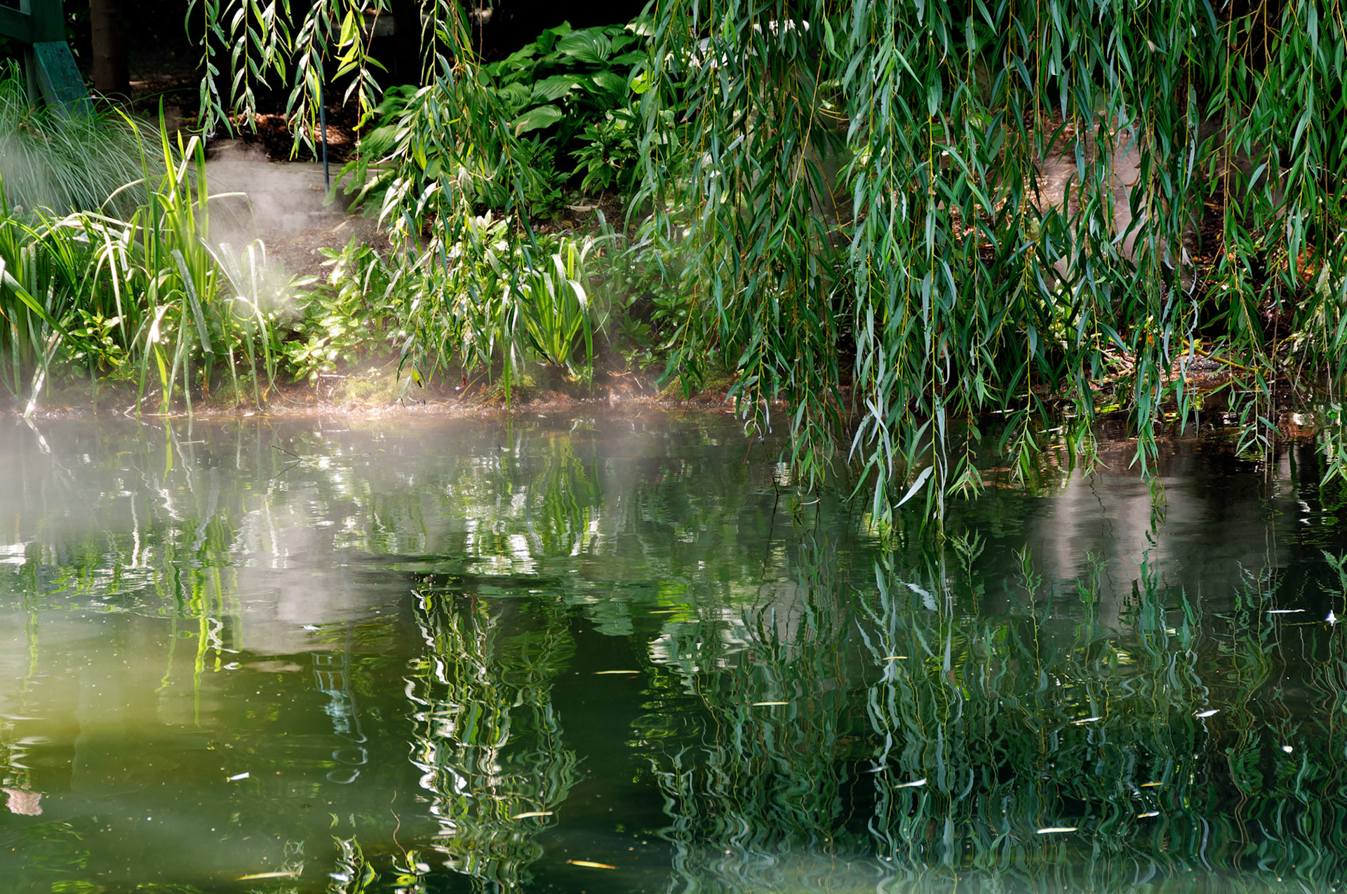 PA_GroundsForSculpture_20080814_0084_PS.dng