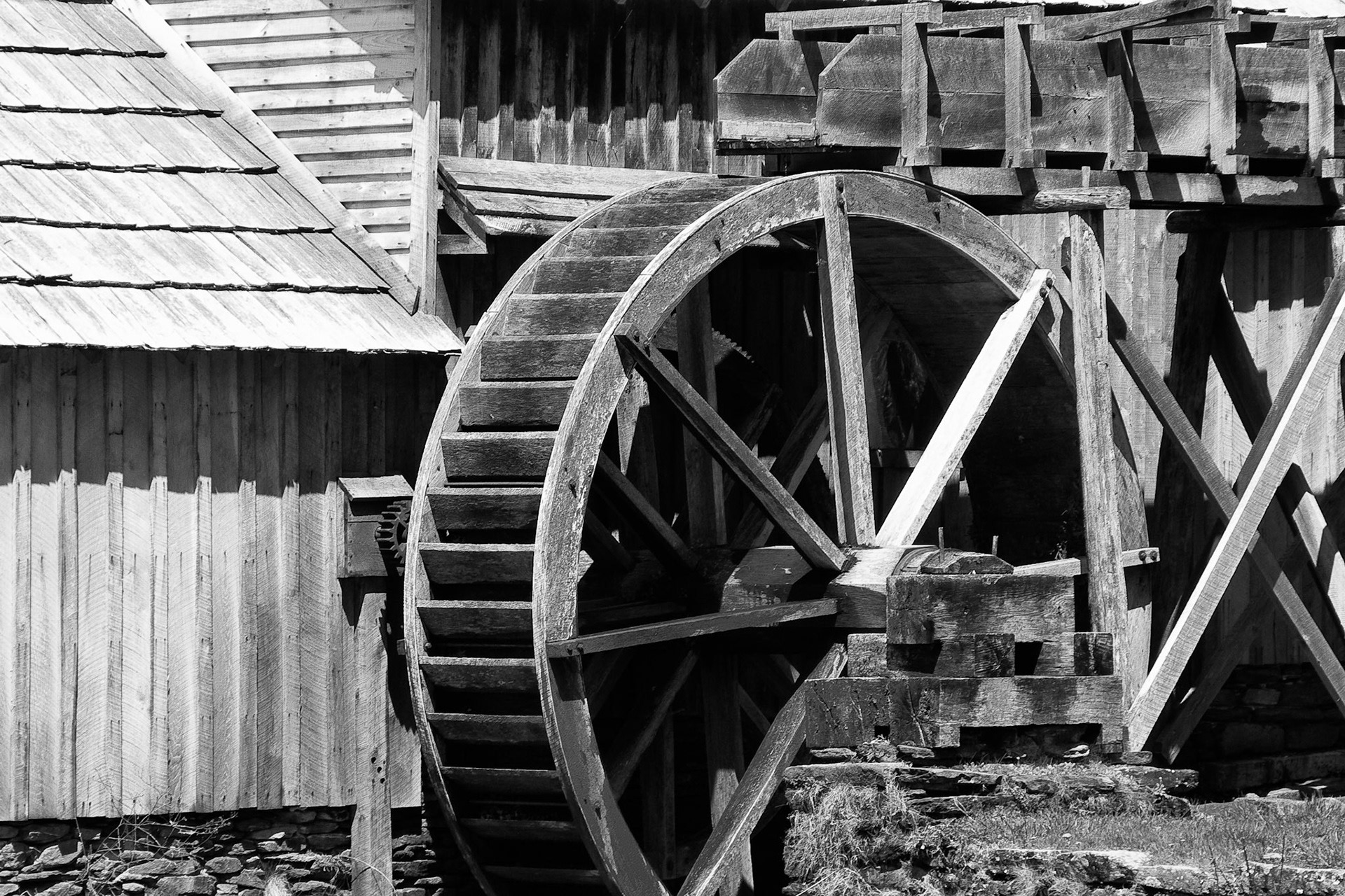 Black &amp; White 00060