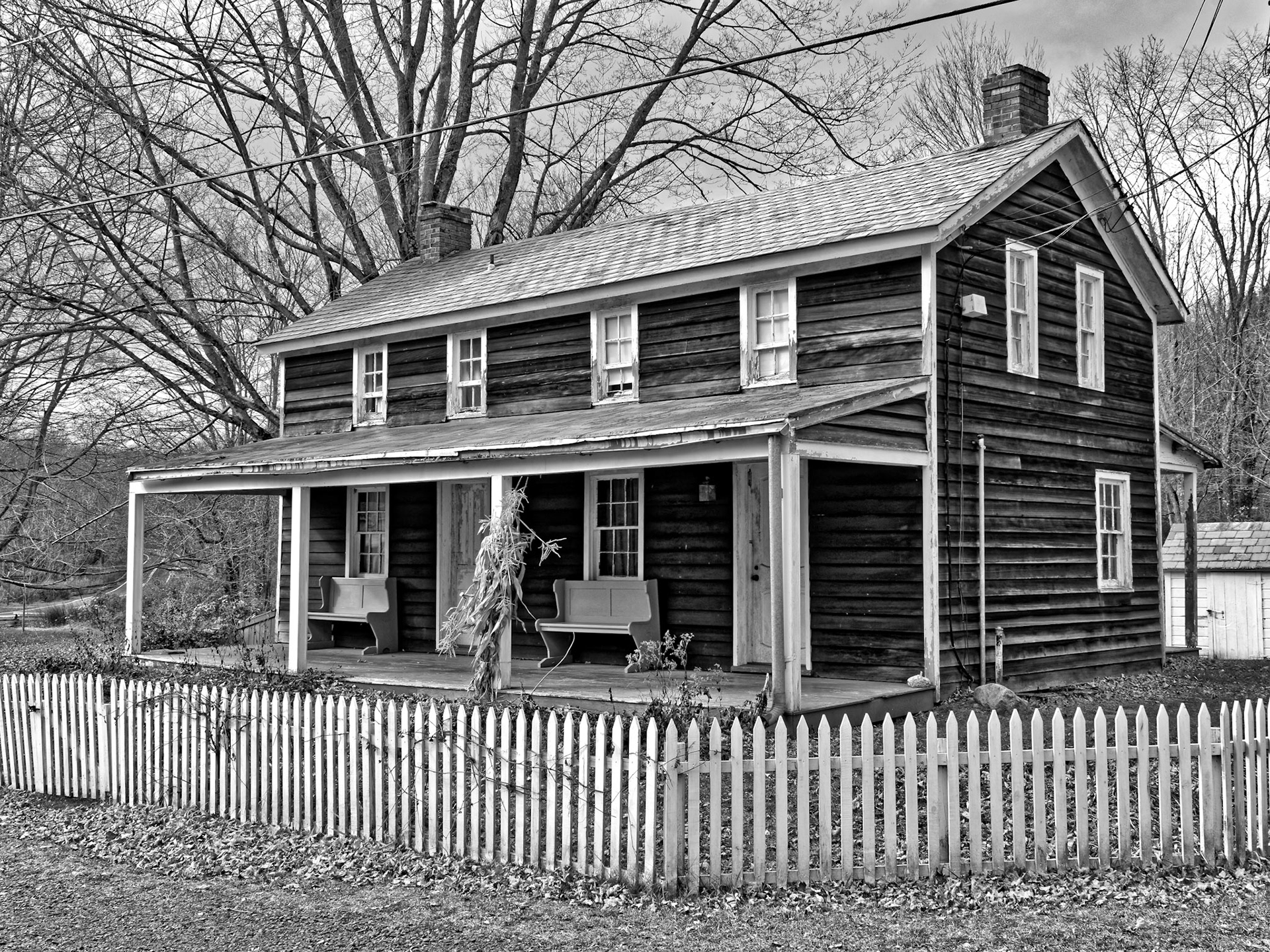 Black &amp; White 00014