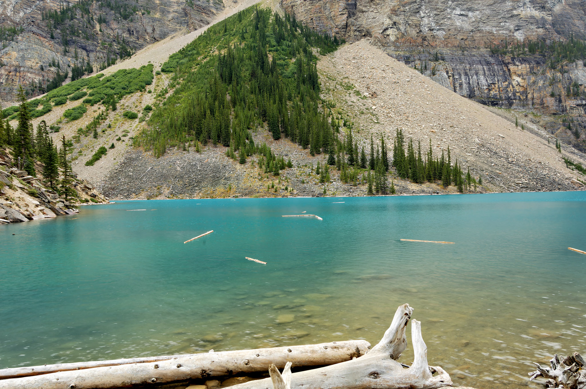 CN_20060801_0098_PS.dng