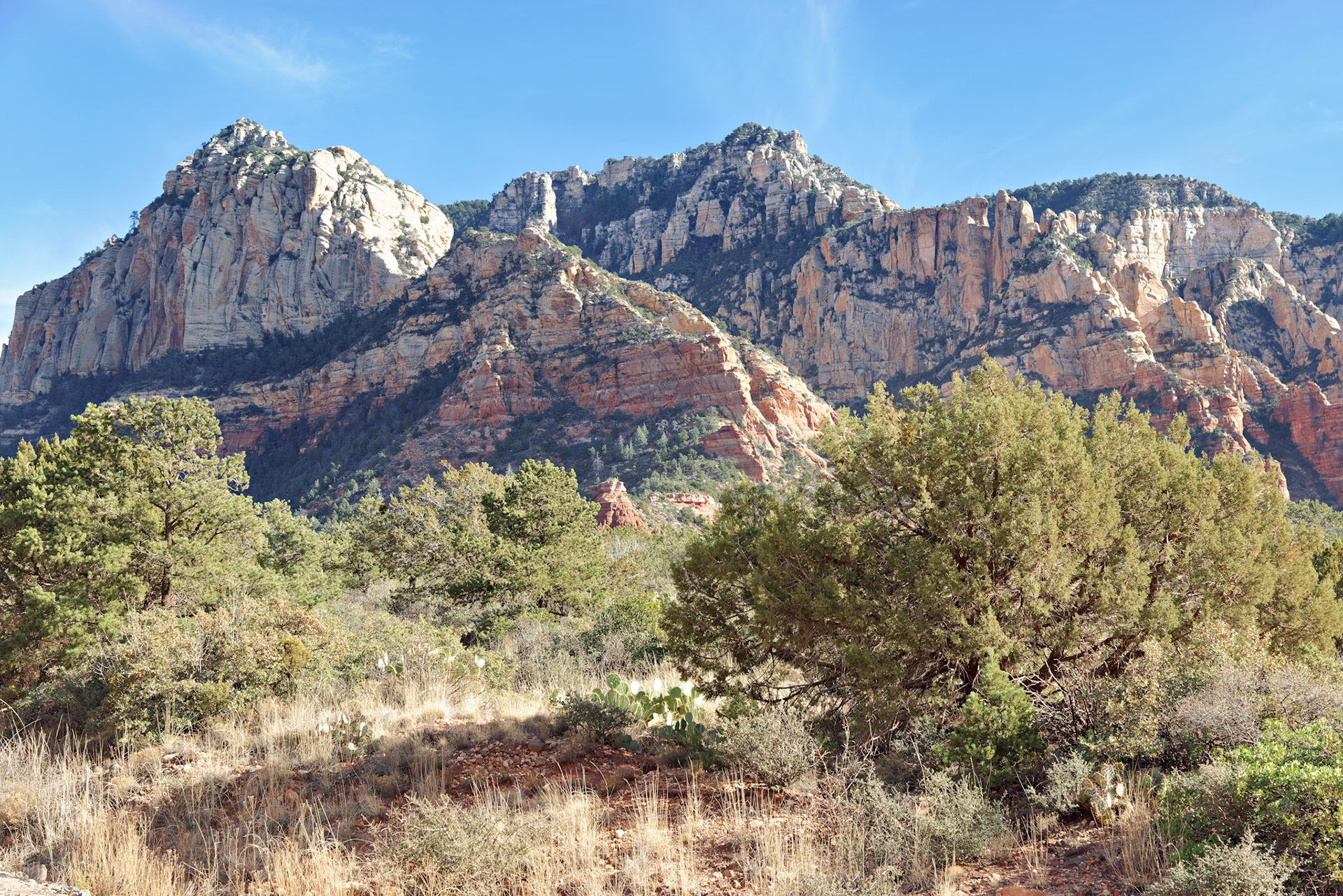 AZ_20121211_0490_PS.dng