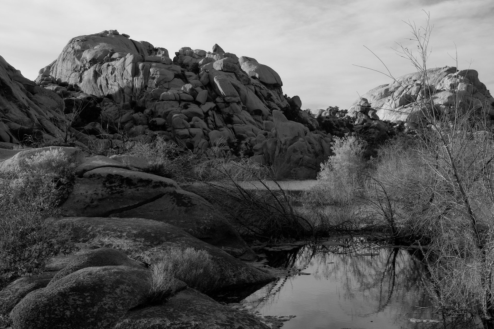 Black &amp; White Photos