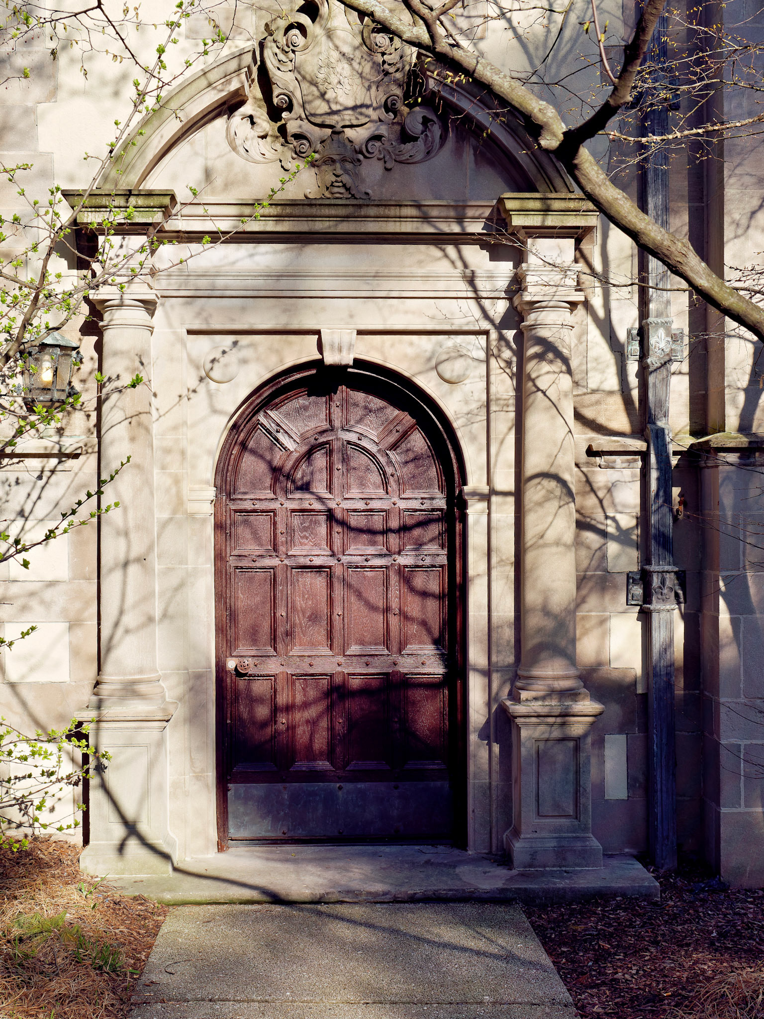 IL_Morton Arboretum_20160415_0709_PS.tif