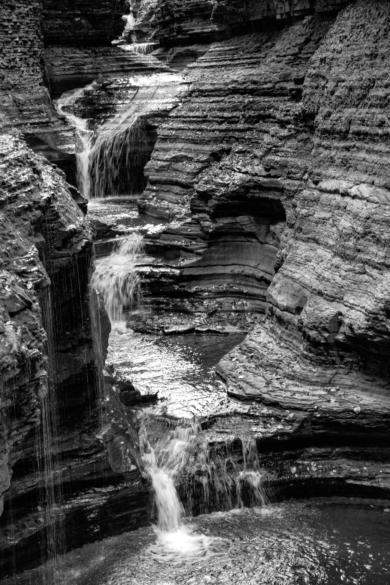 Black &amp; White Photos