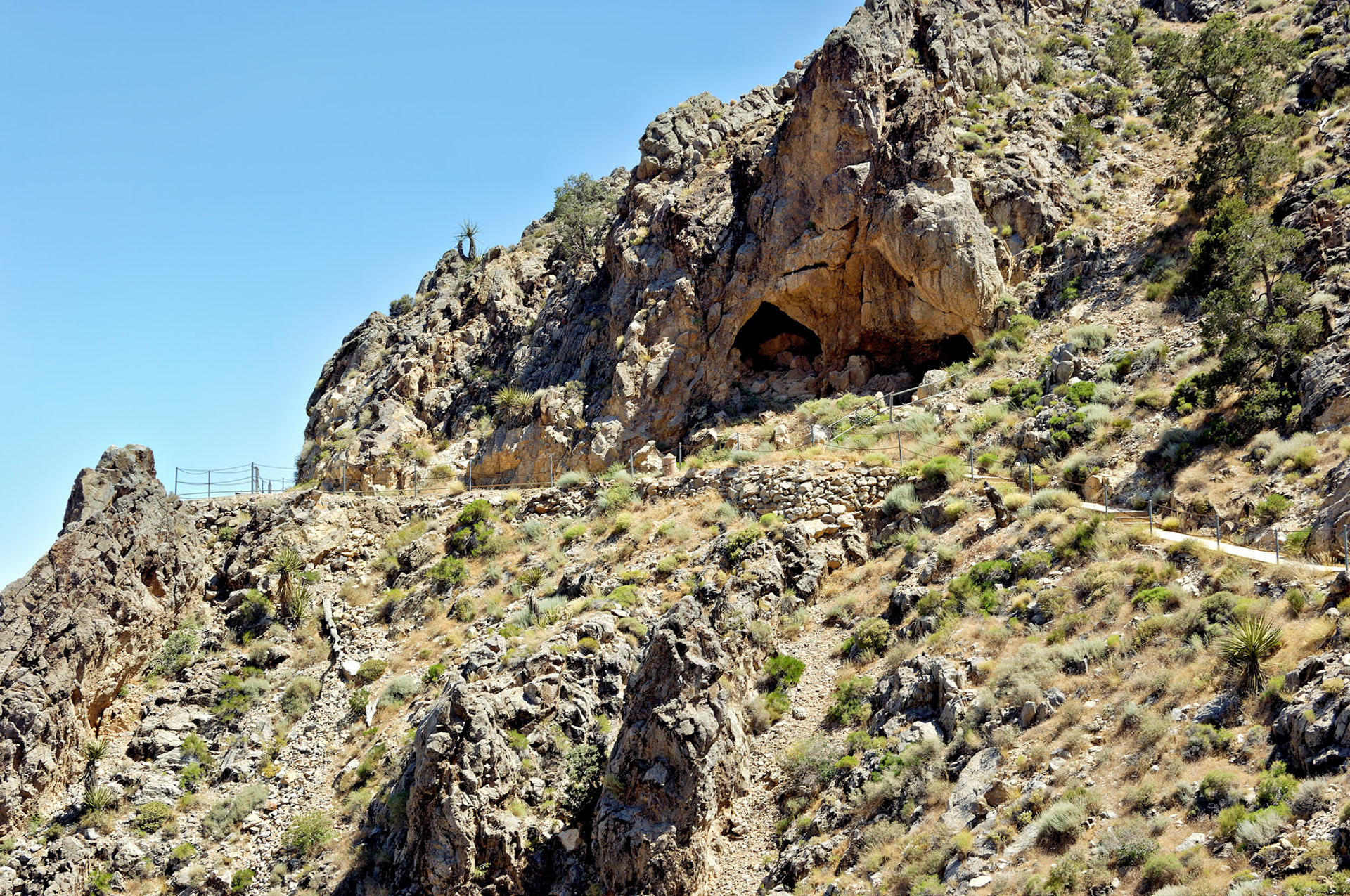 CA_20050614_0132_PS.dng