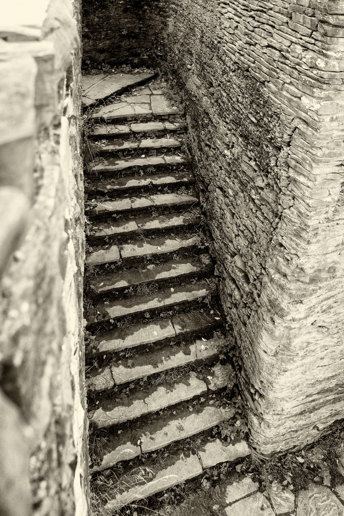 Black &amp; White 00223