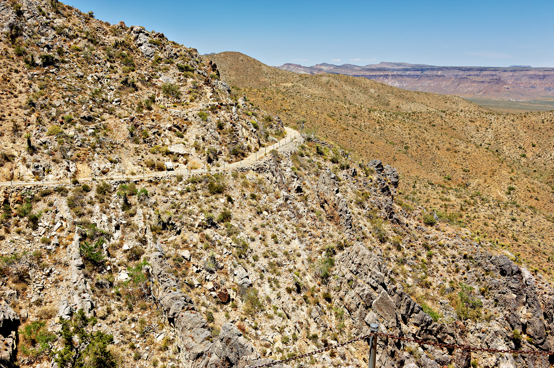 CA_20050614_0089_PS.dng