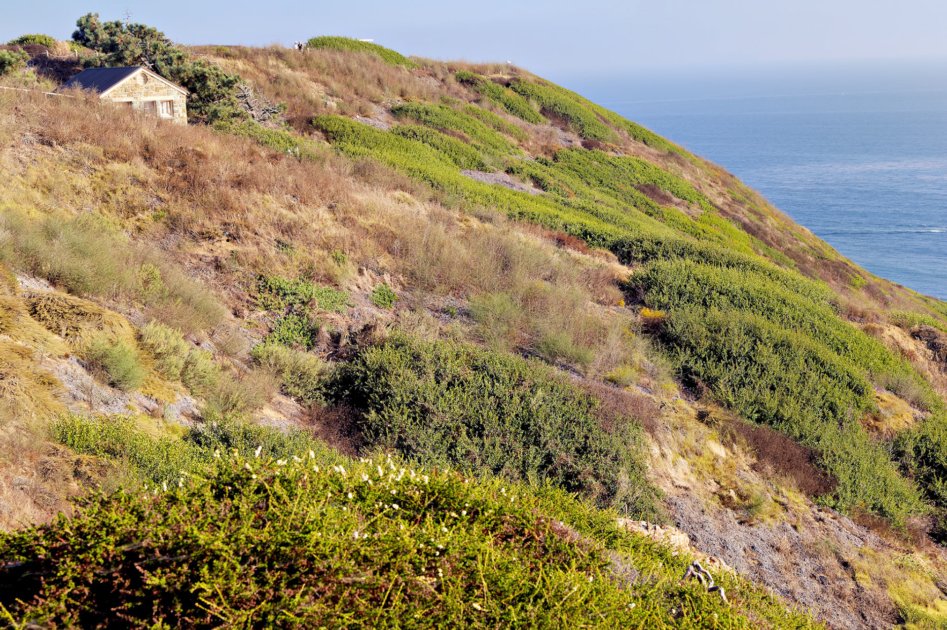 CA_SanDiego_20050728_0094_PS.dng