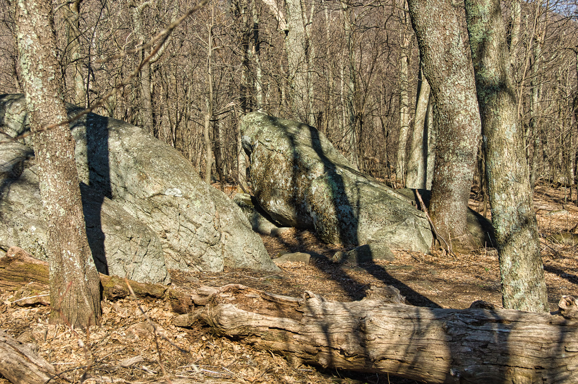 VA Blue Ridge Pkw 00024