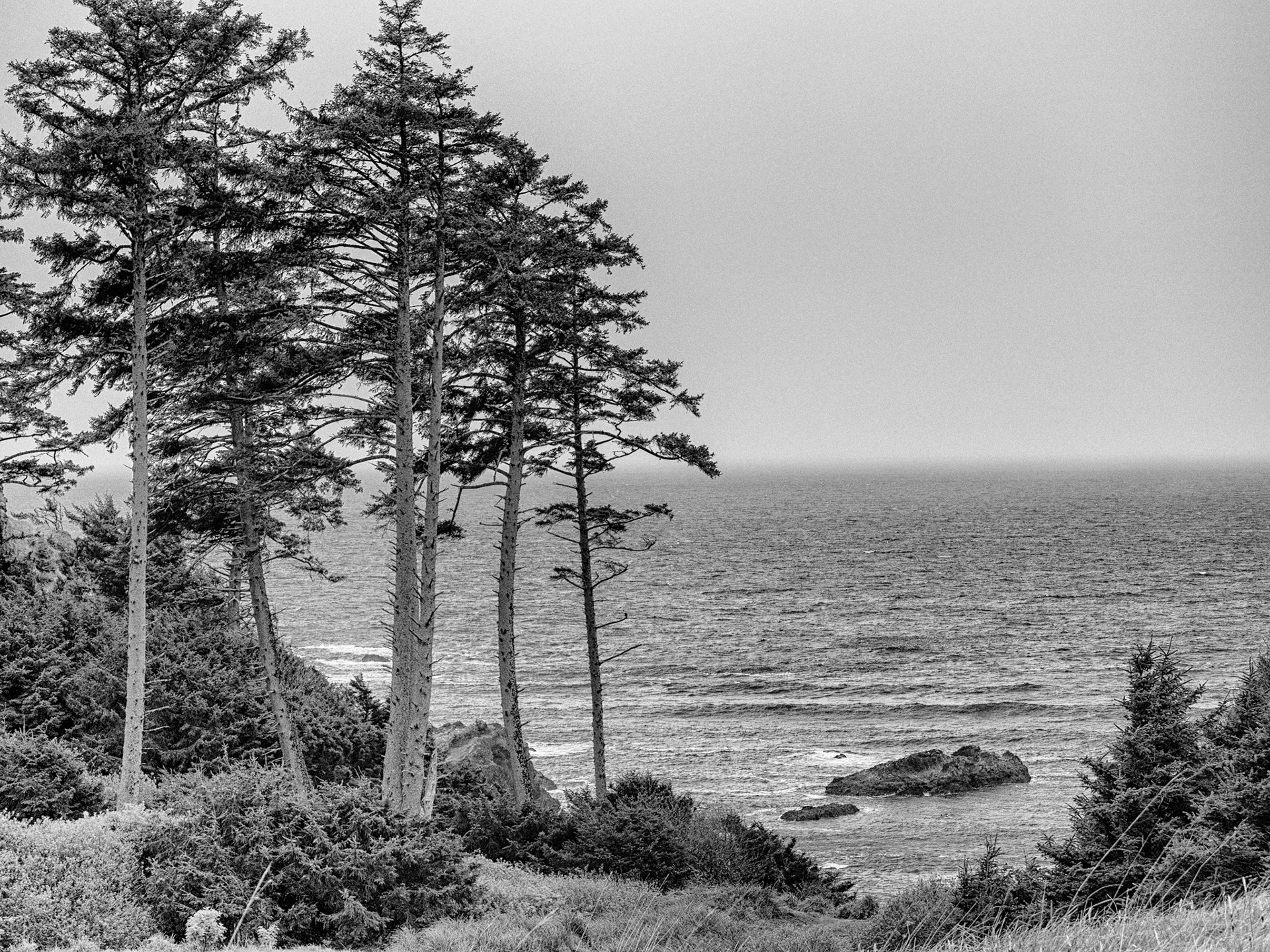 Black &amp; White 00147