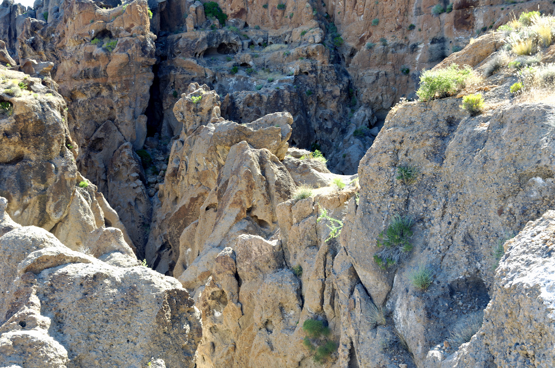 CA_20050614_0173_PS.dng