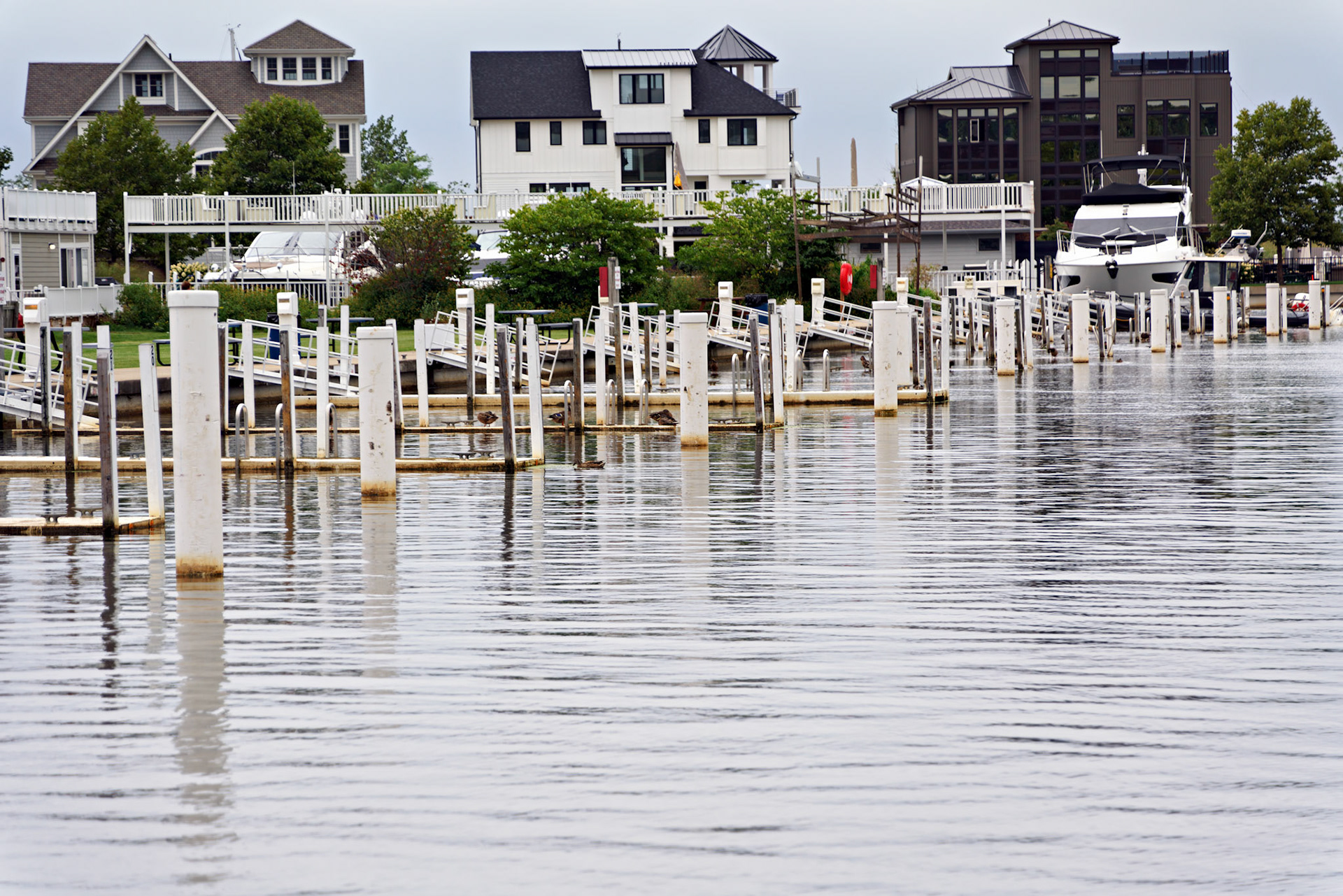 MI_New BuffaloArea_20190906_0273_PS.tif