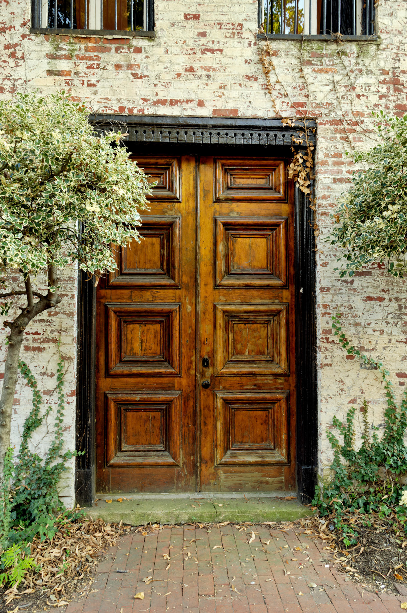 DC_20050913_0066_PS.dng