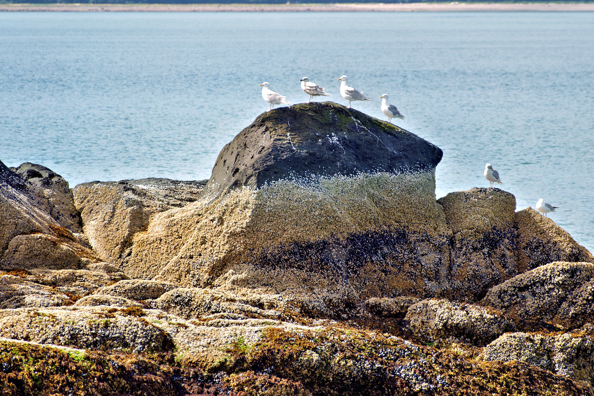 AK_20030731_0200_PS.dng