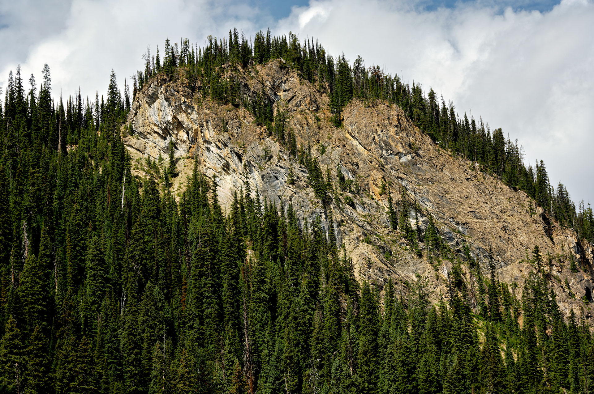 CN_20060803_0348_PS.dng