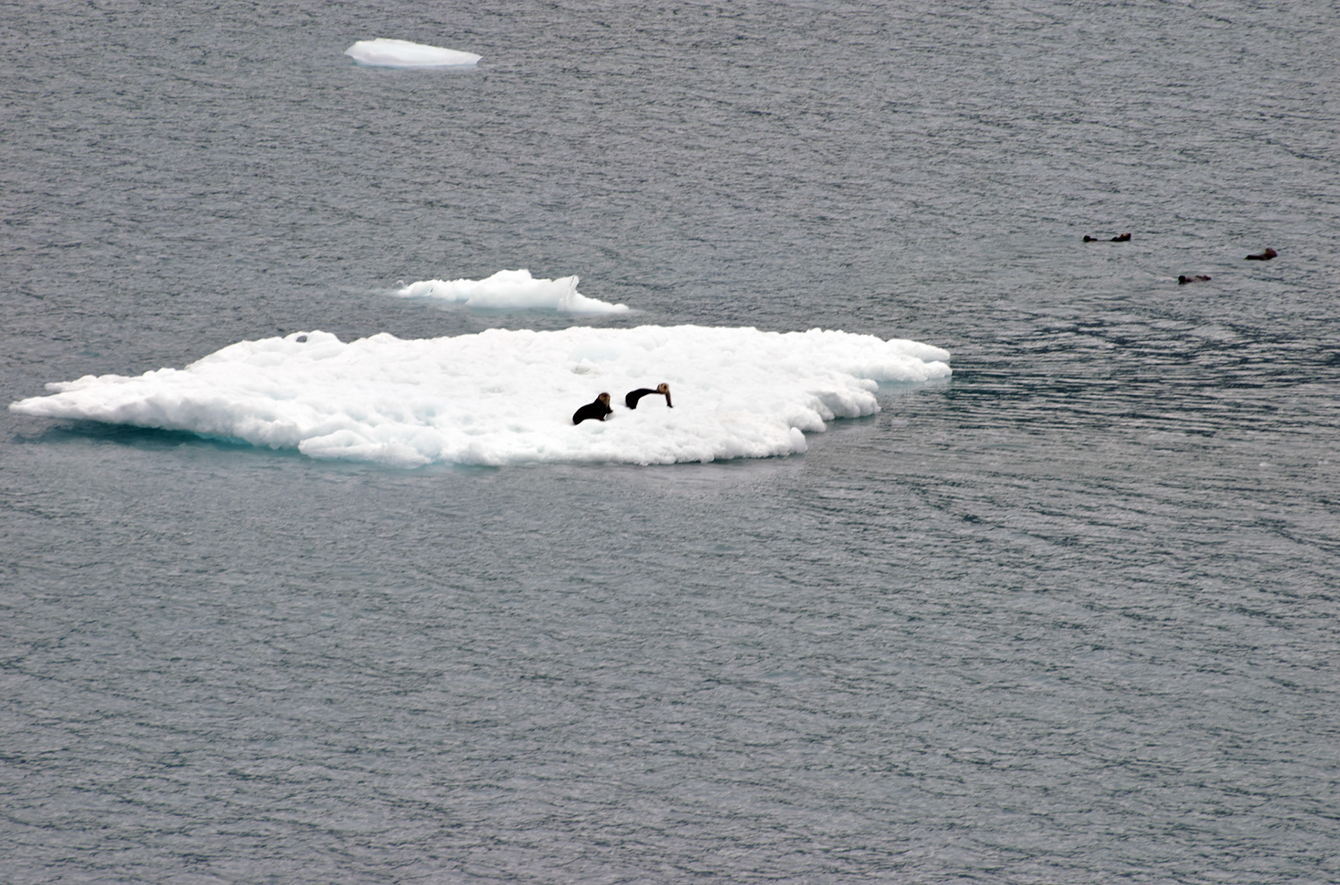 AK_20030803_0470_PS.dng