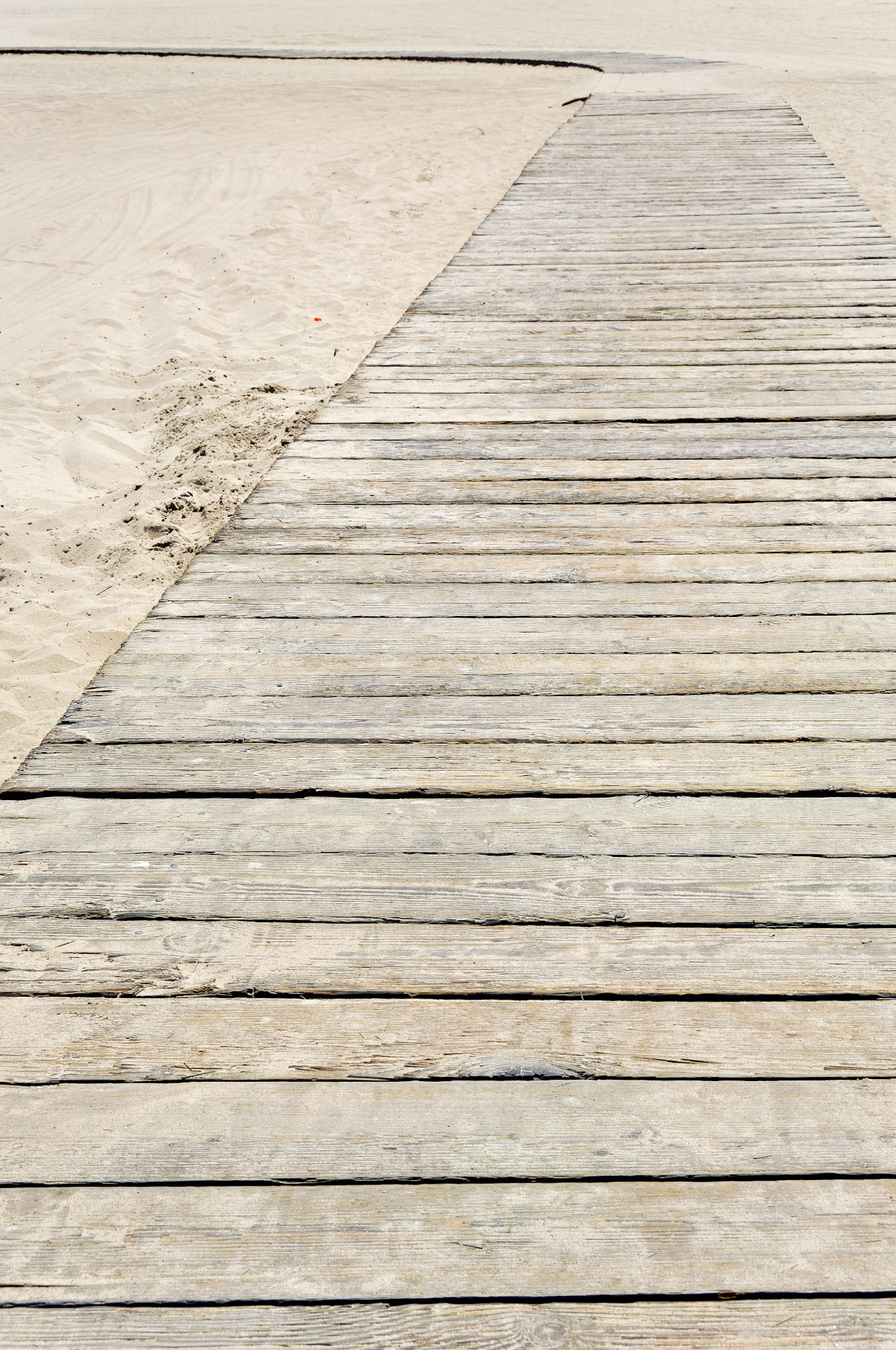 CA_LA_20060504_0317_PS.dng