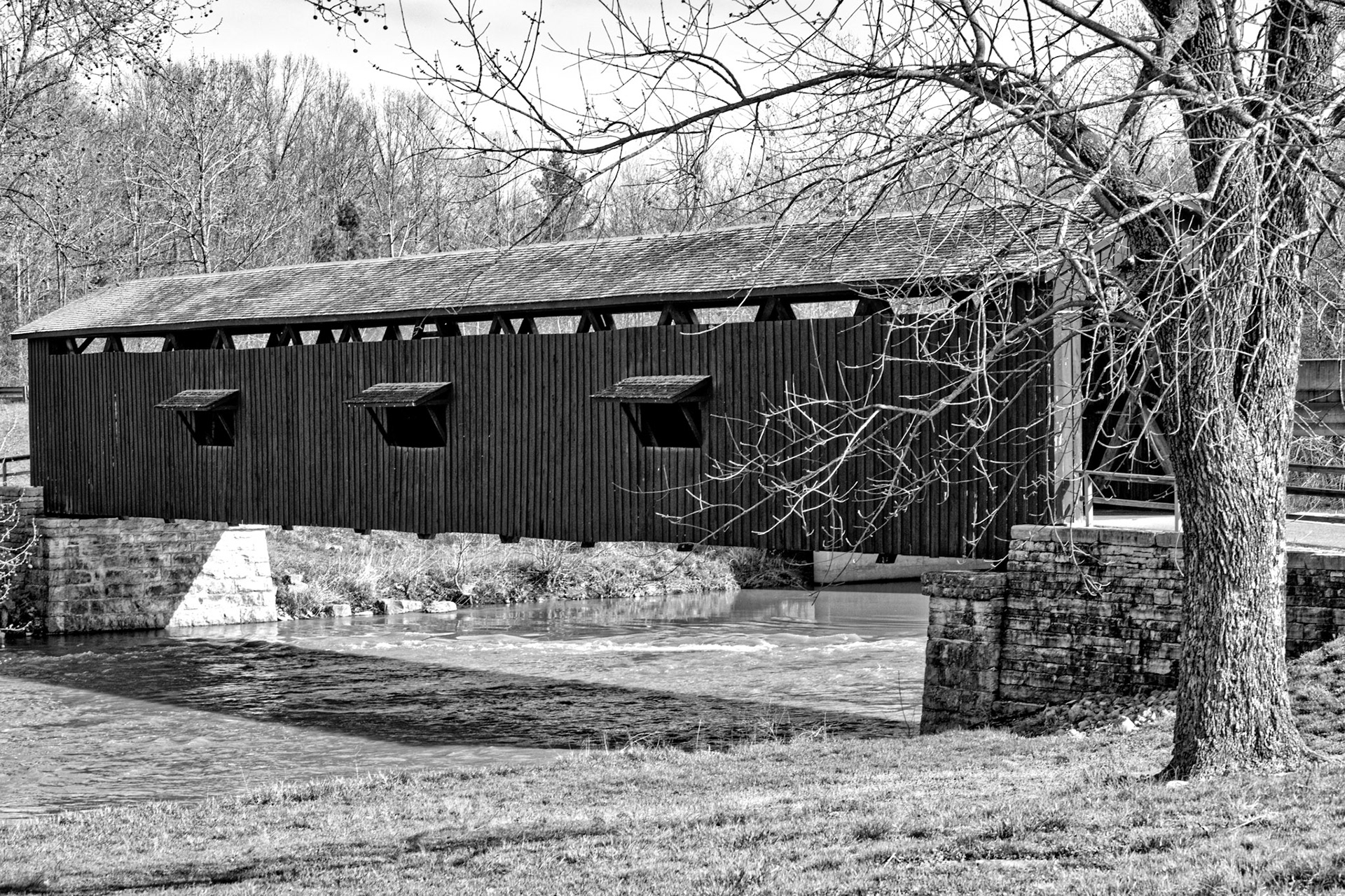 Black &amp; White 00011