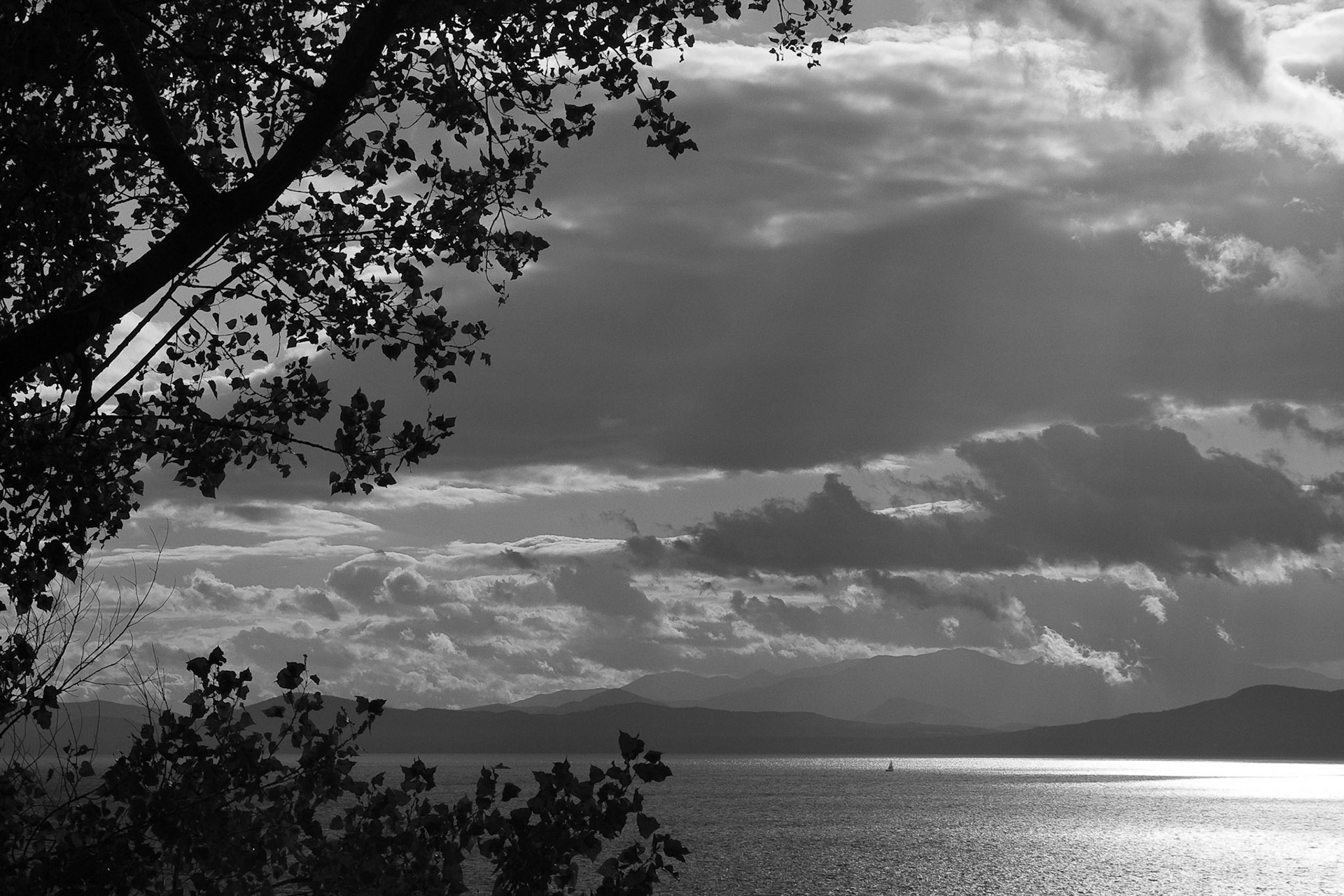 Black &amp; White Photos