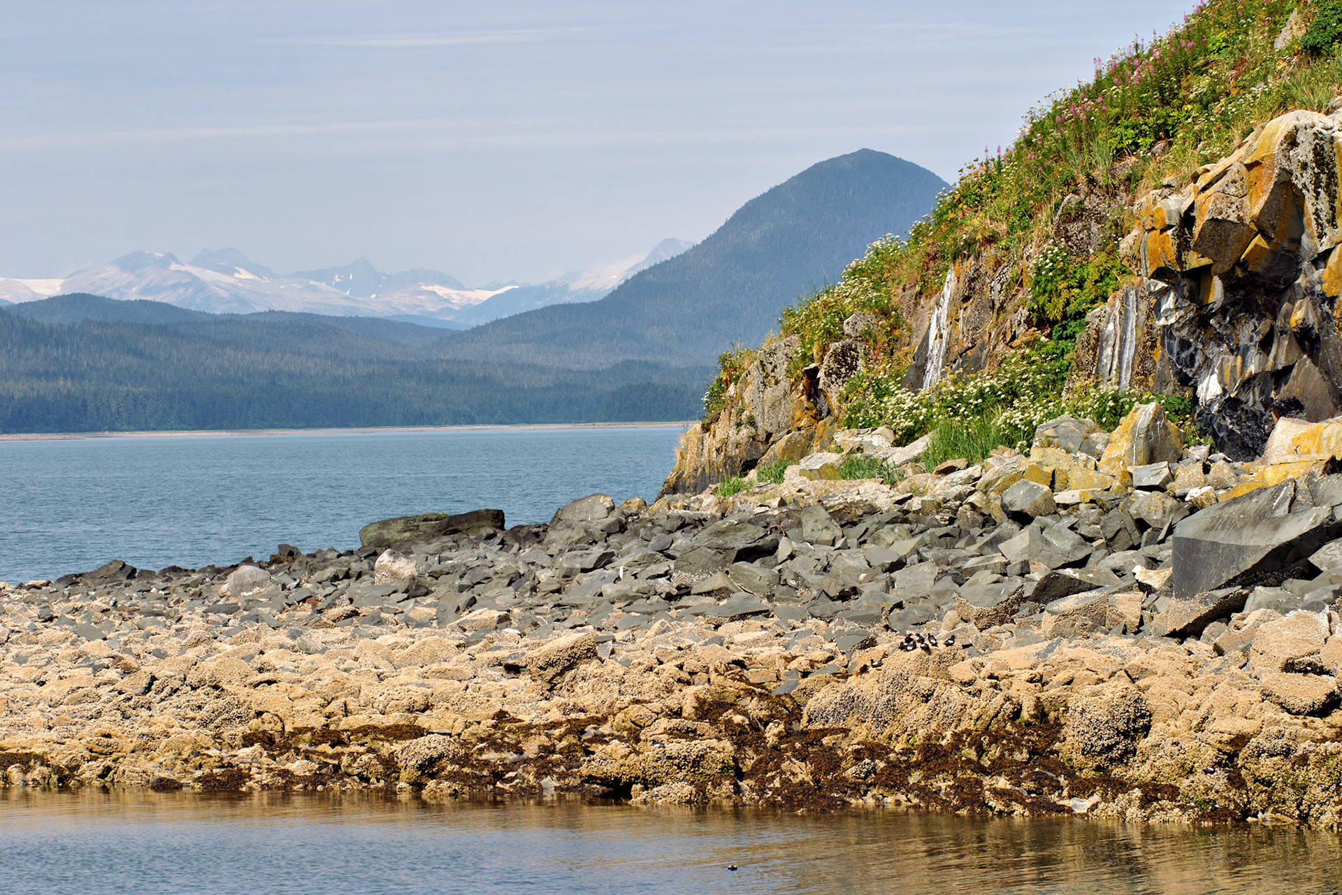 AK_20030731_0194_PS.dng