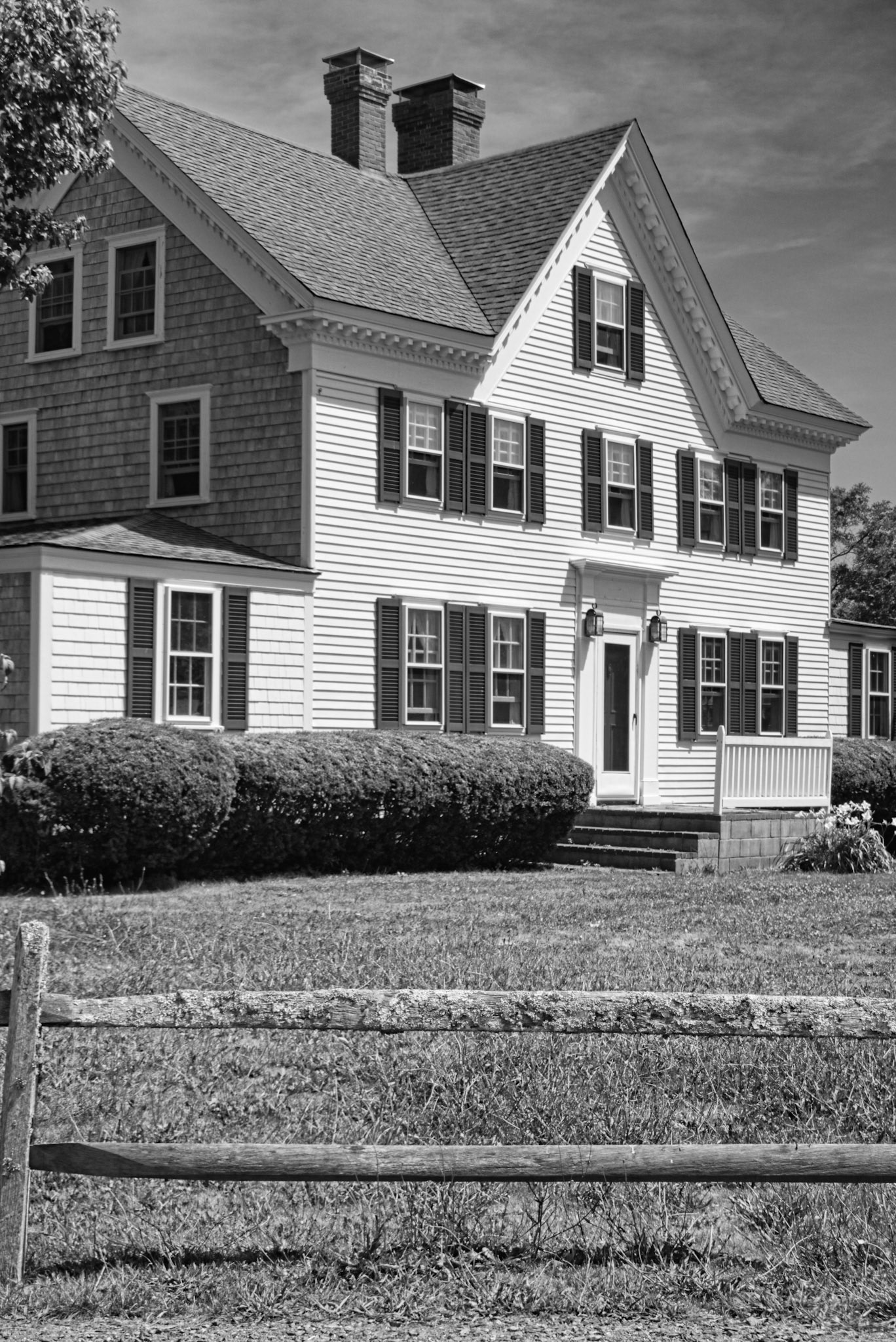 Black &amp; White 00291