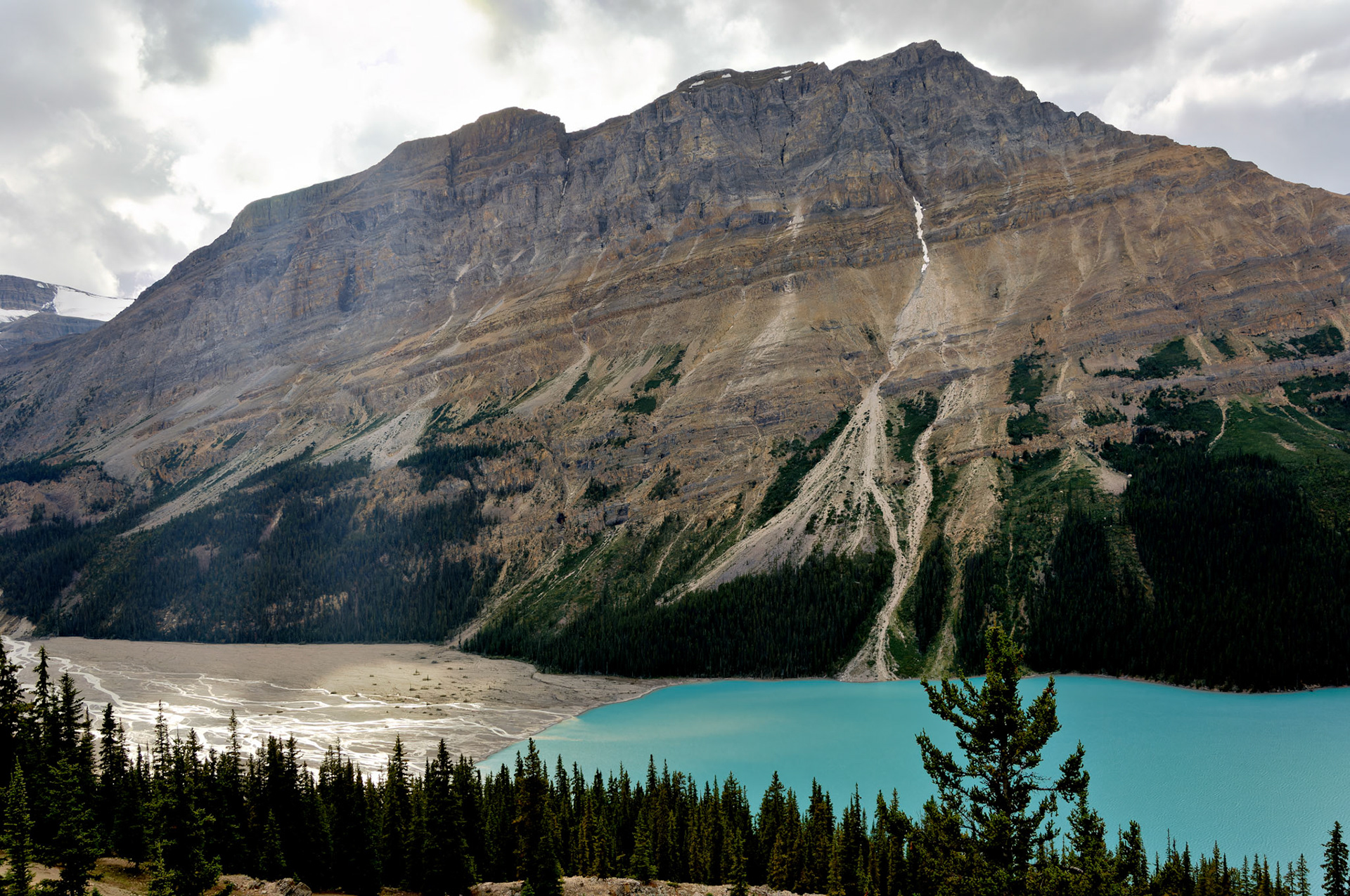 CN_20060802_0426_PS.dng