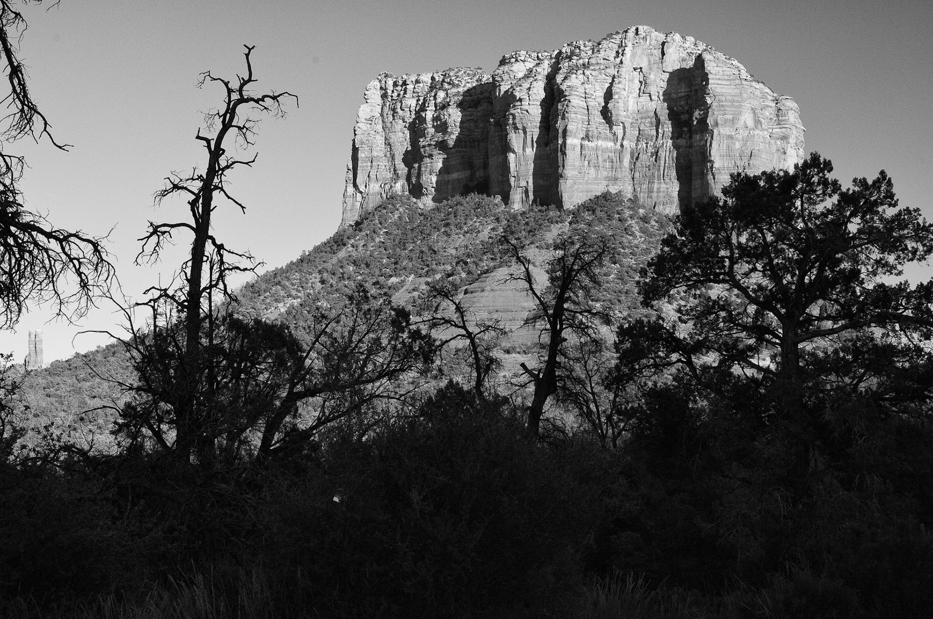 Black &amp; White 00087