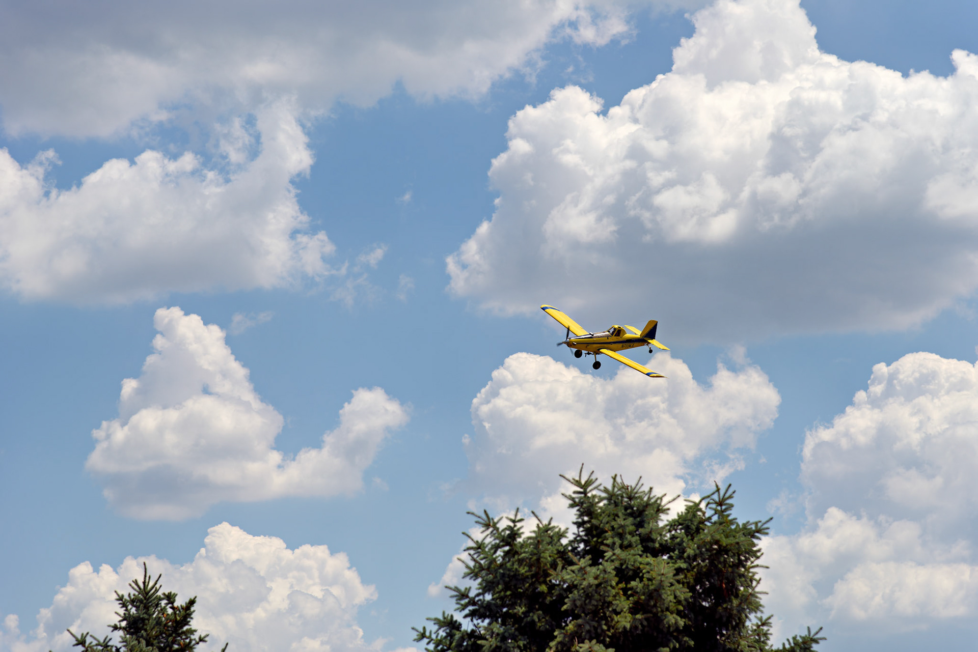 Aerials_20120709_0347_PS.dng