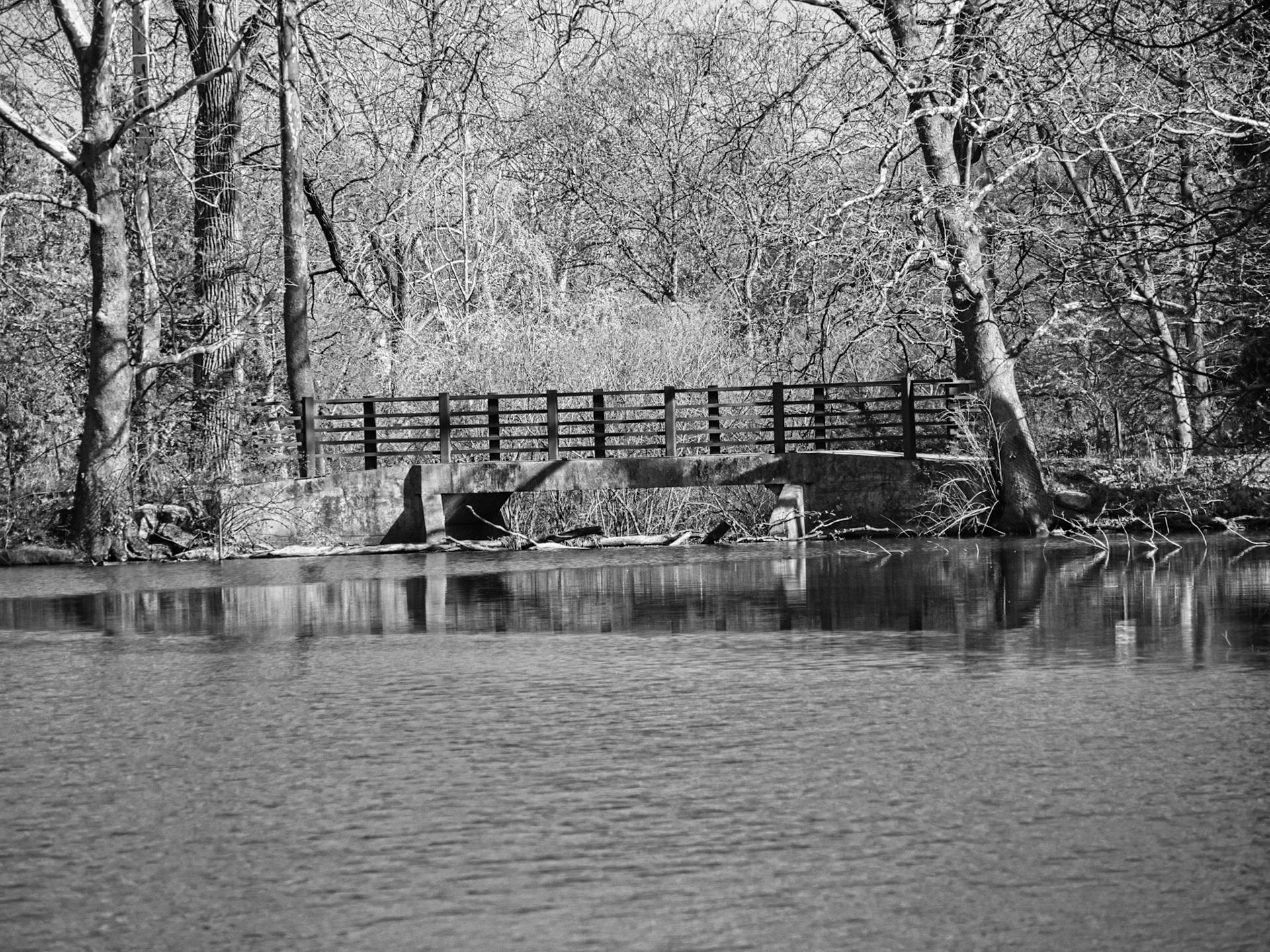 Black &amp; White 00258