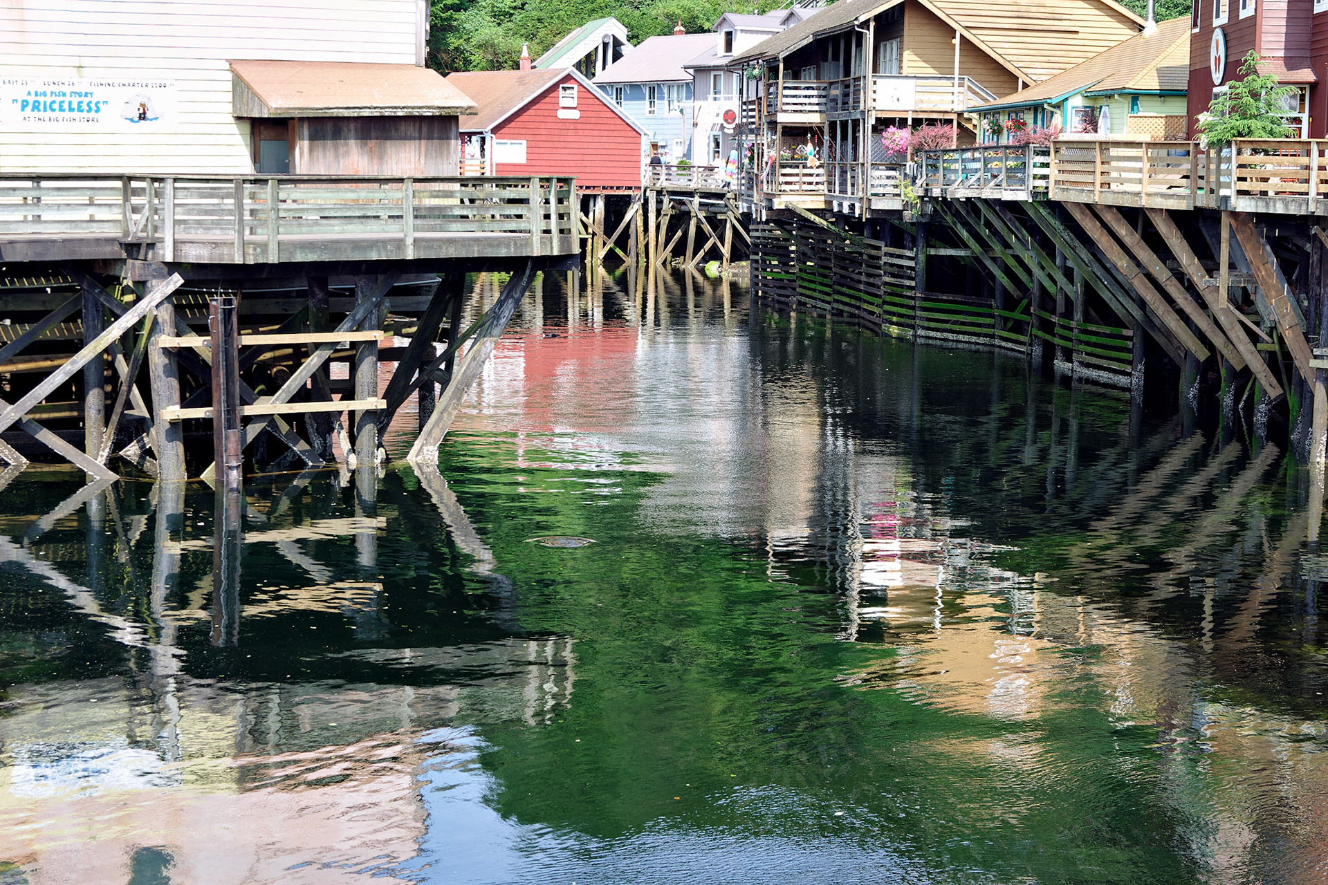 AK_20030730_0123_PS.dng