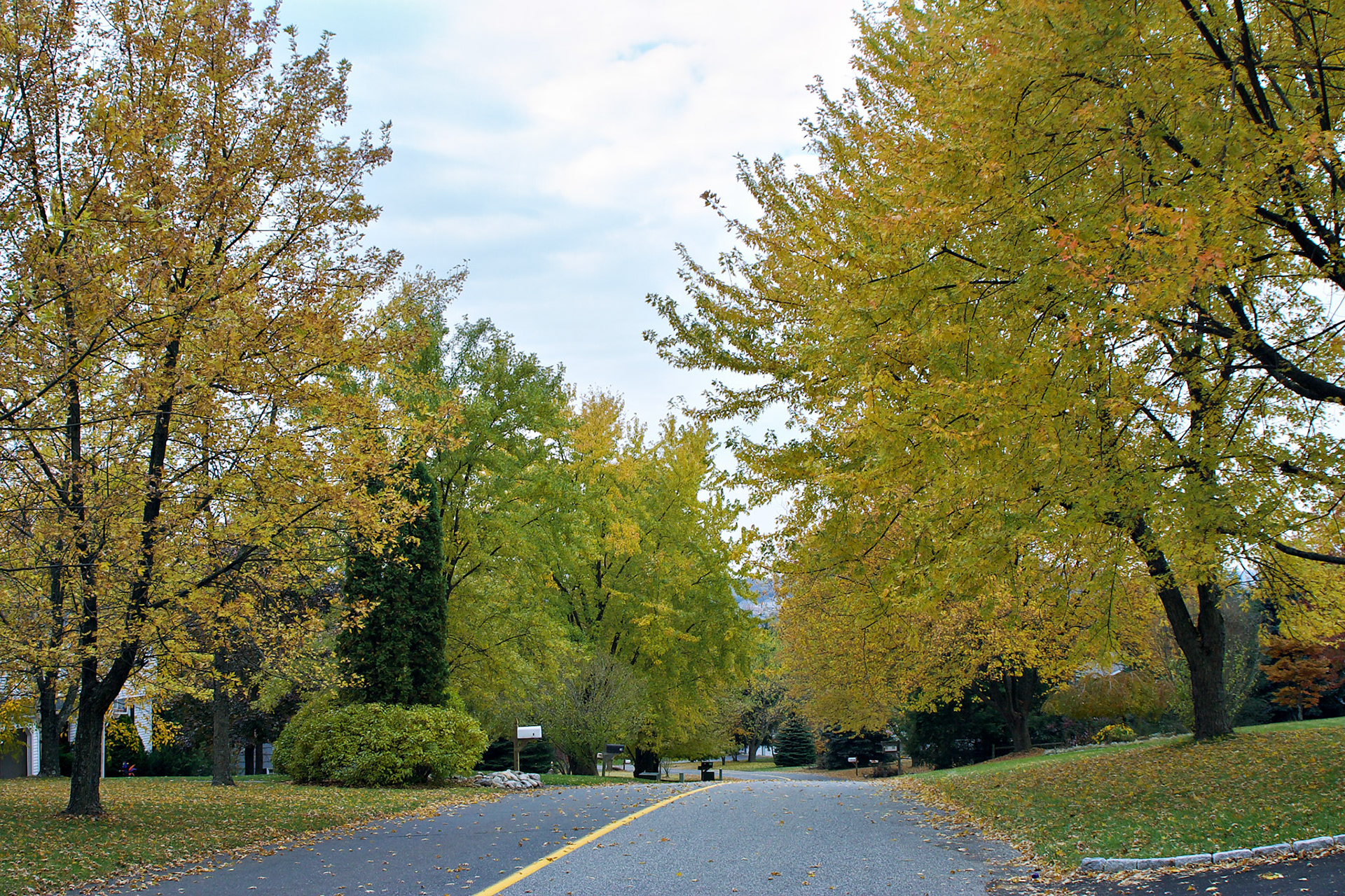 CT_20021101_0006_PS.dng