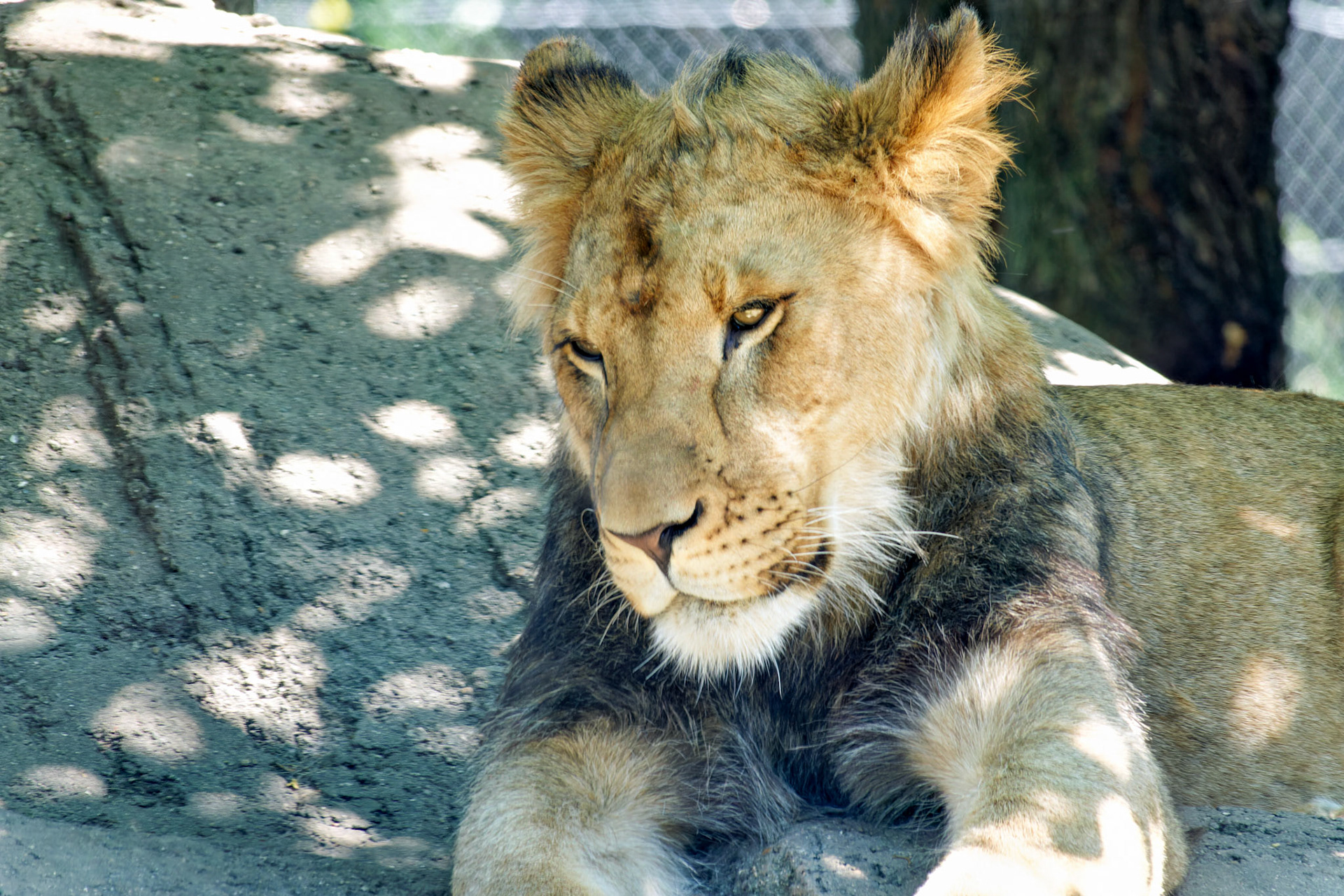 IN_Indianapolis Zoo_20170608_0250_PS.tif