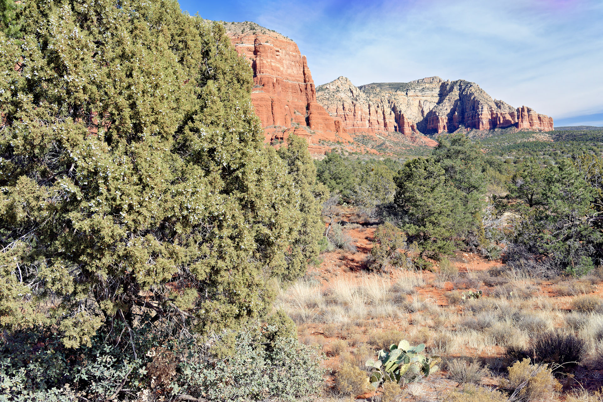 AZ_20121211_0601_PS.dng