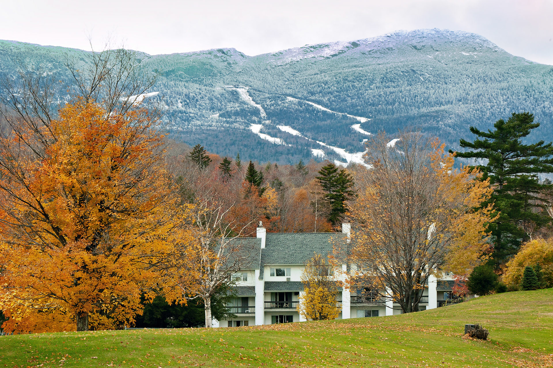 VT_20021029_0055_PS.dng