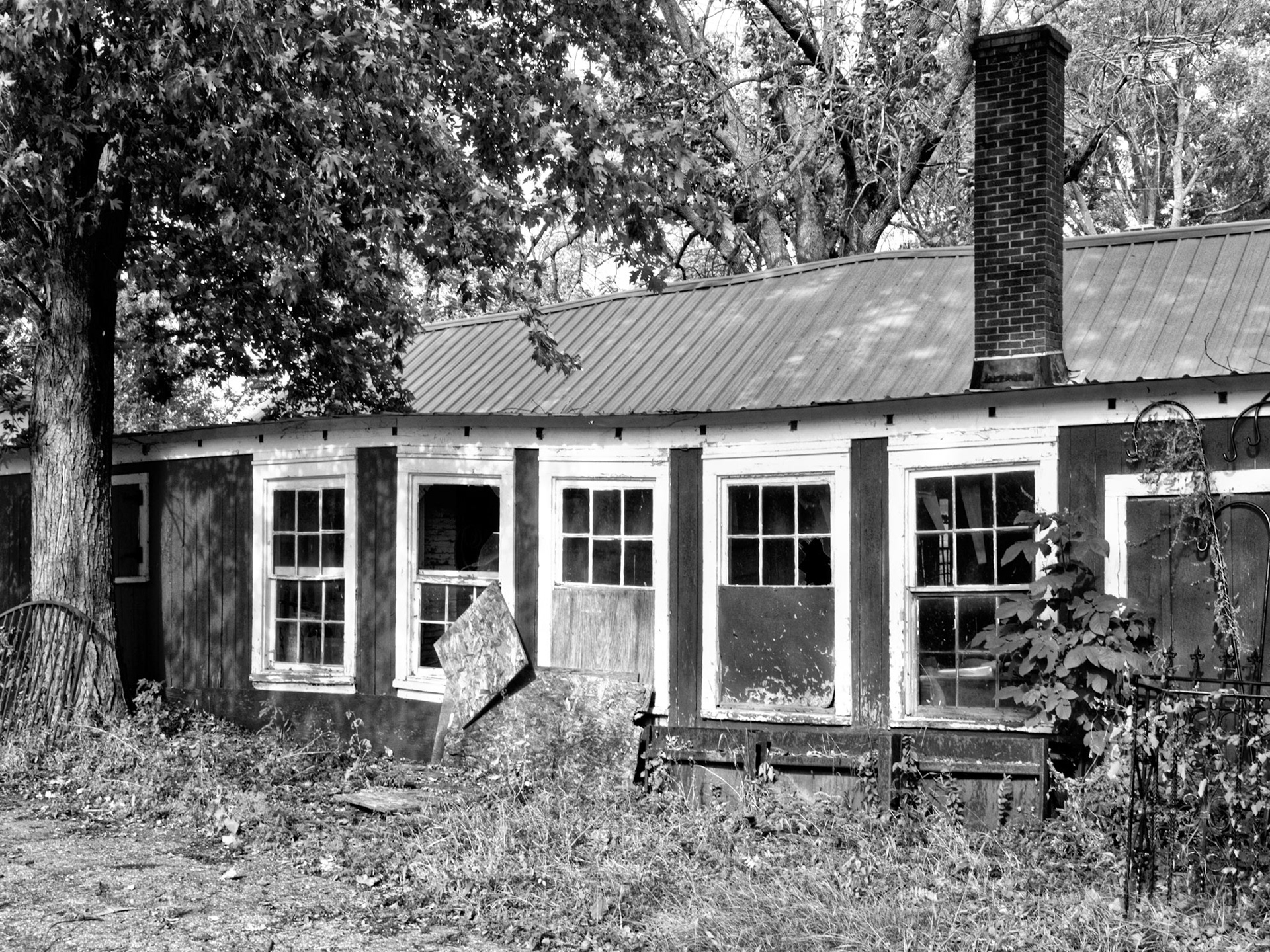 Black &amp; White 00240