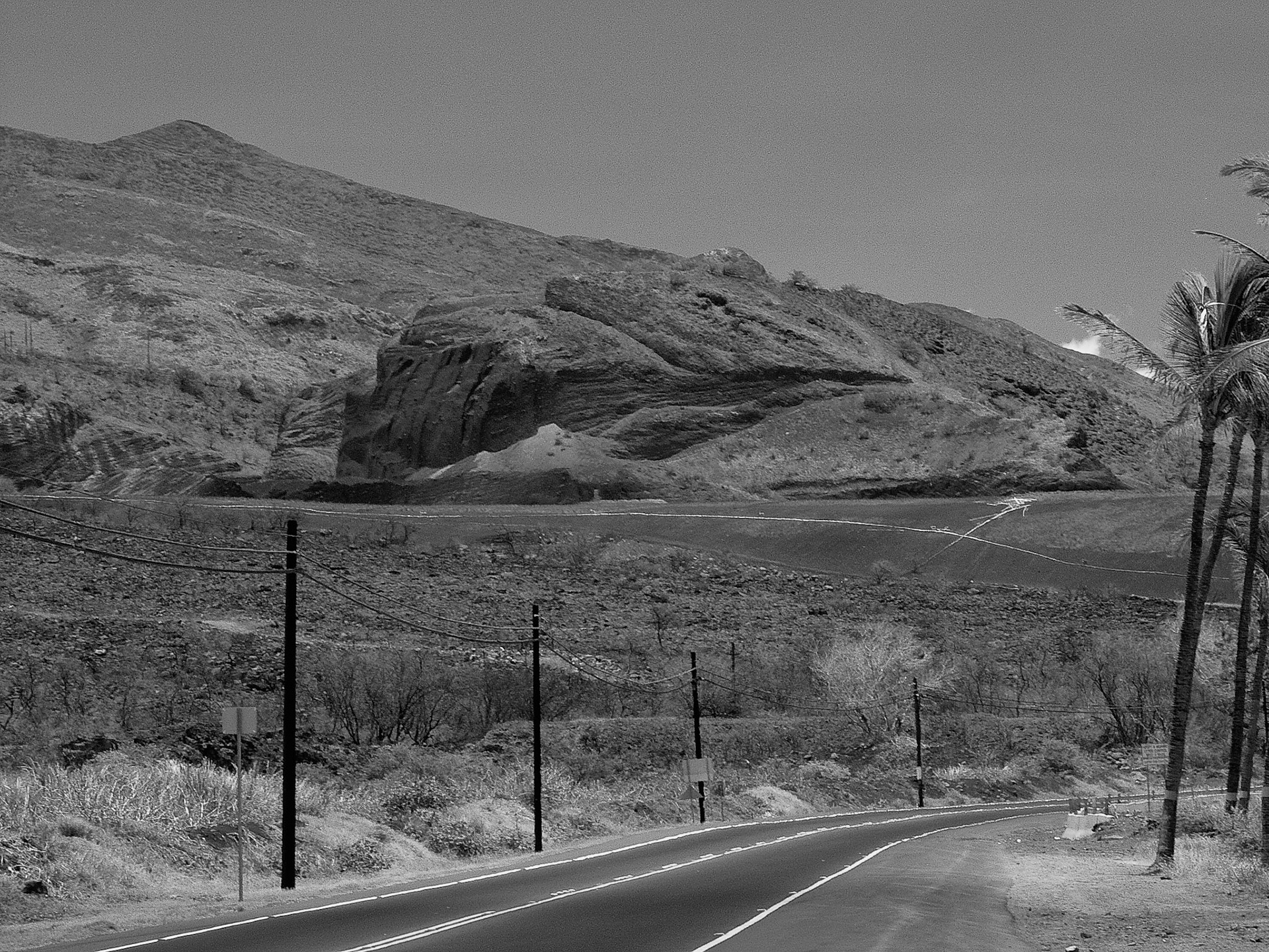 Black &amp; White Photos