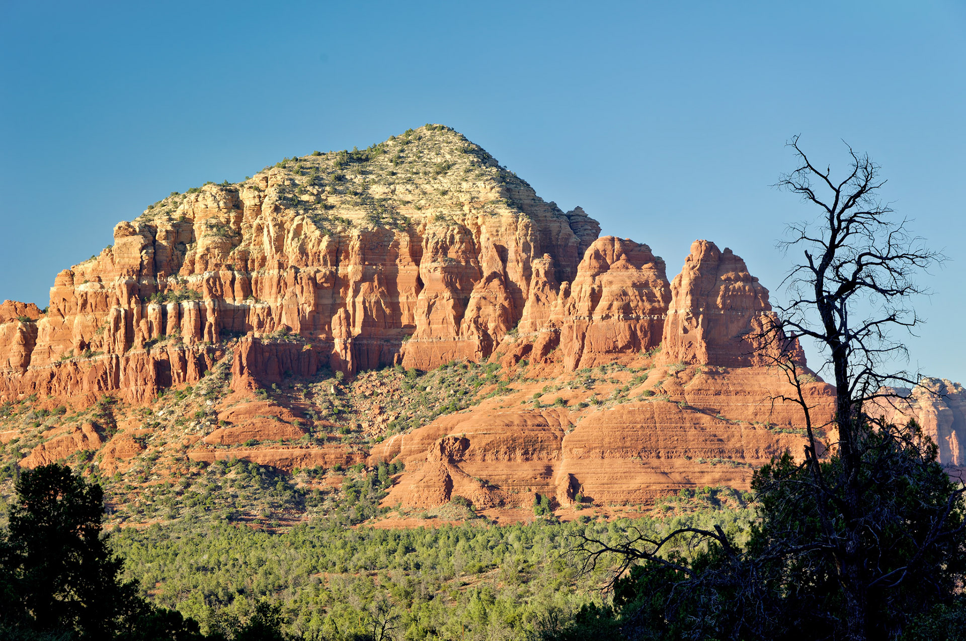 AZ_20060917_0135_PS.dng