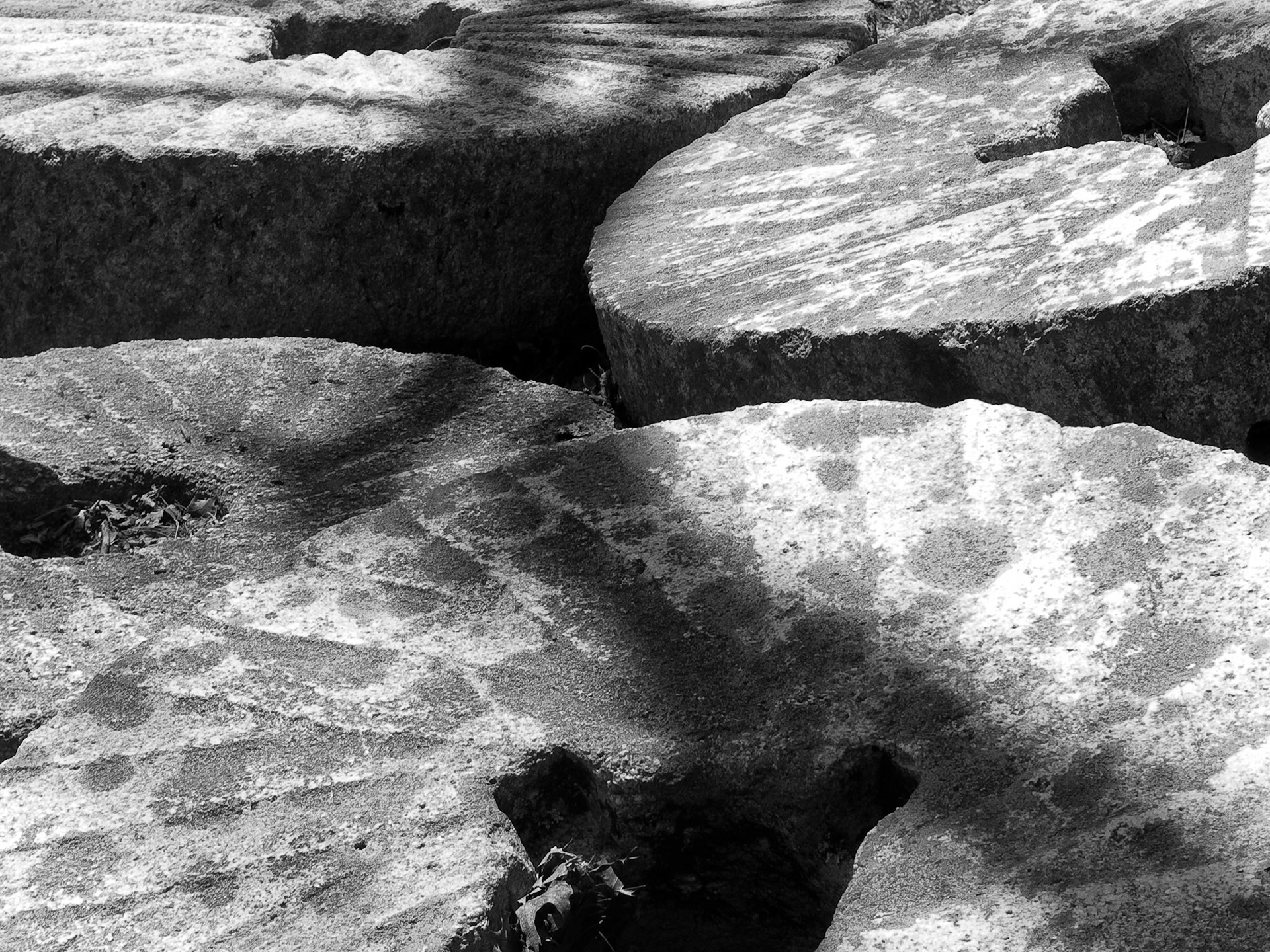 Black &amp; White Photos