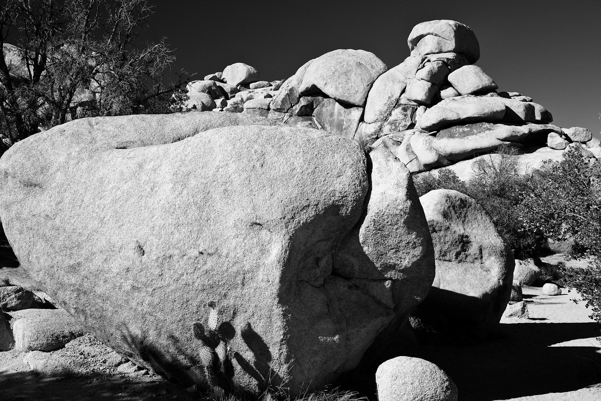 Black &amp; White Photos