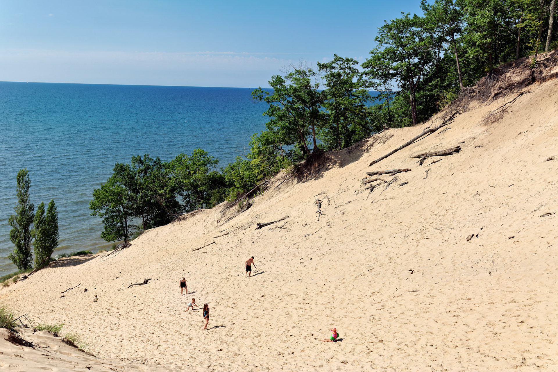 MI_New BuffaloArea_20170715_0232_PS.tif