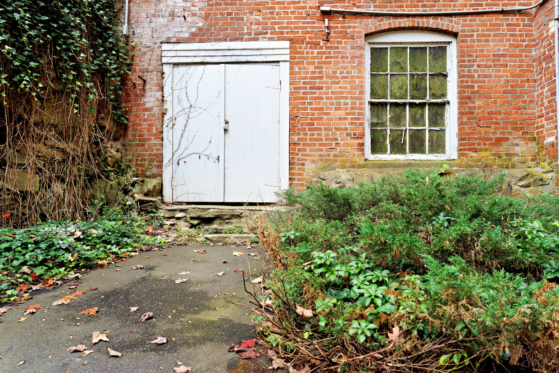 CT_20141017_0438_PS.dng