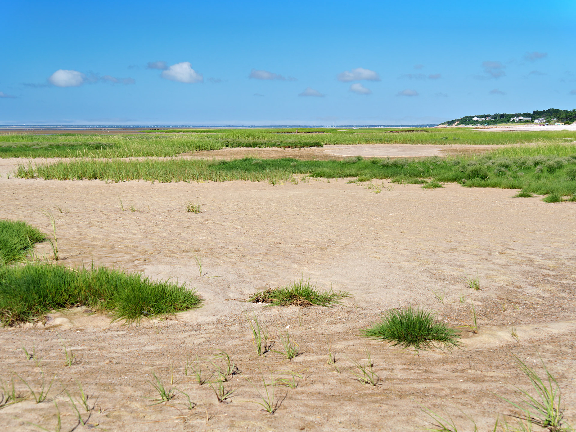 MA_CapeCod_20180724_0383_PS.dng