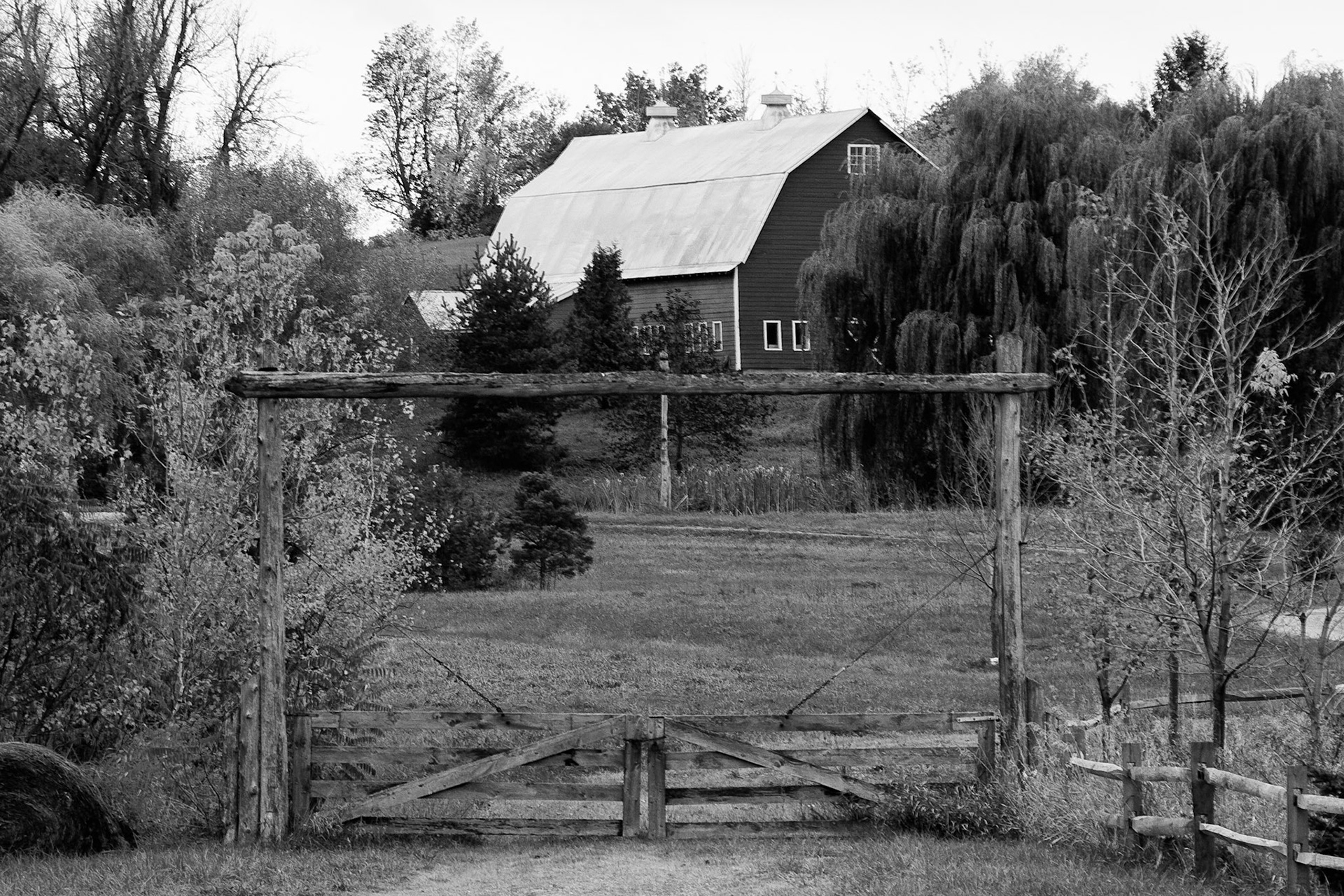 Black &amp; White Photos