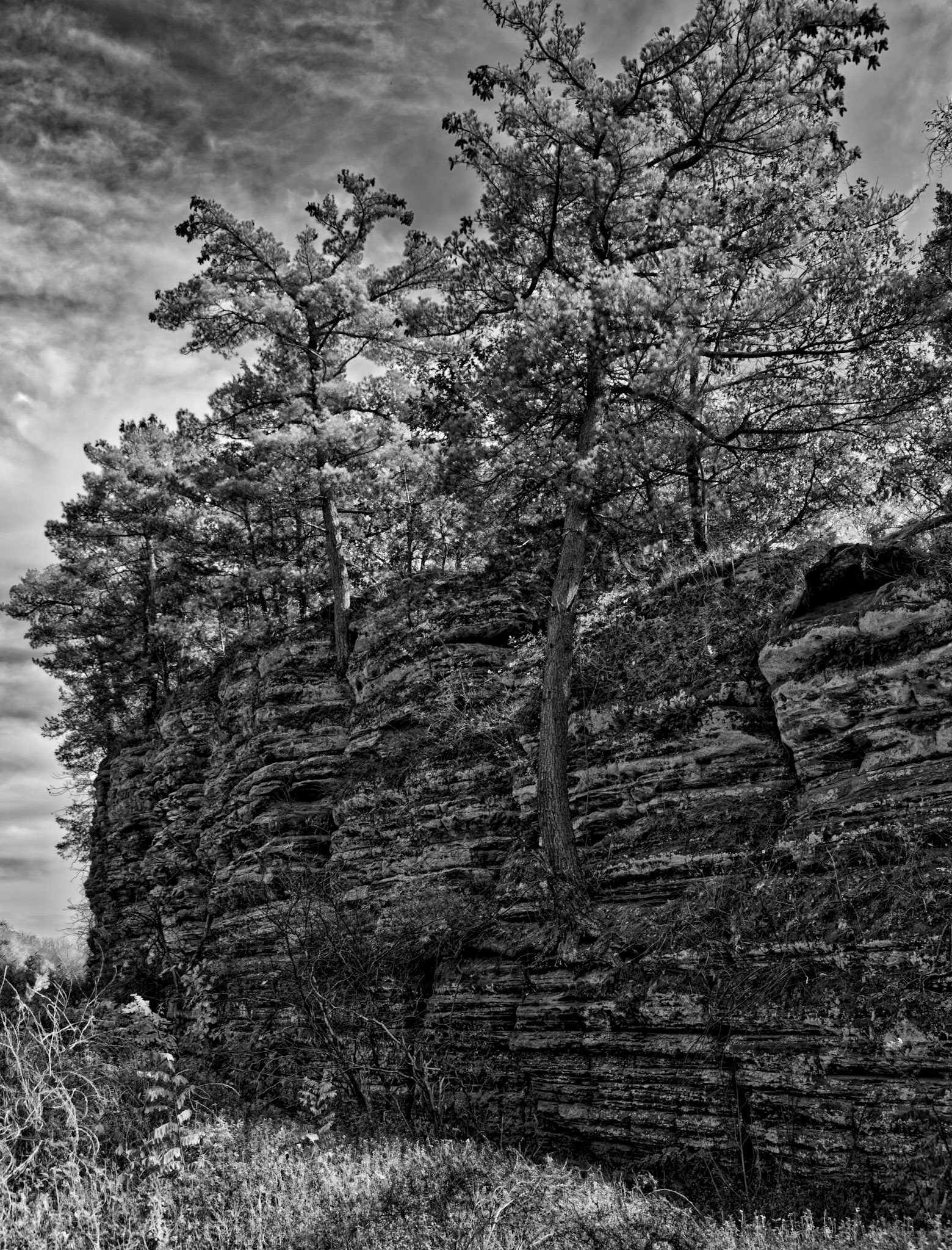 Black &amp; White 00234