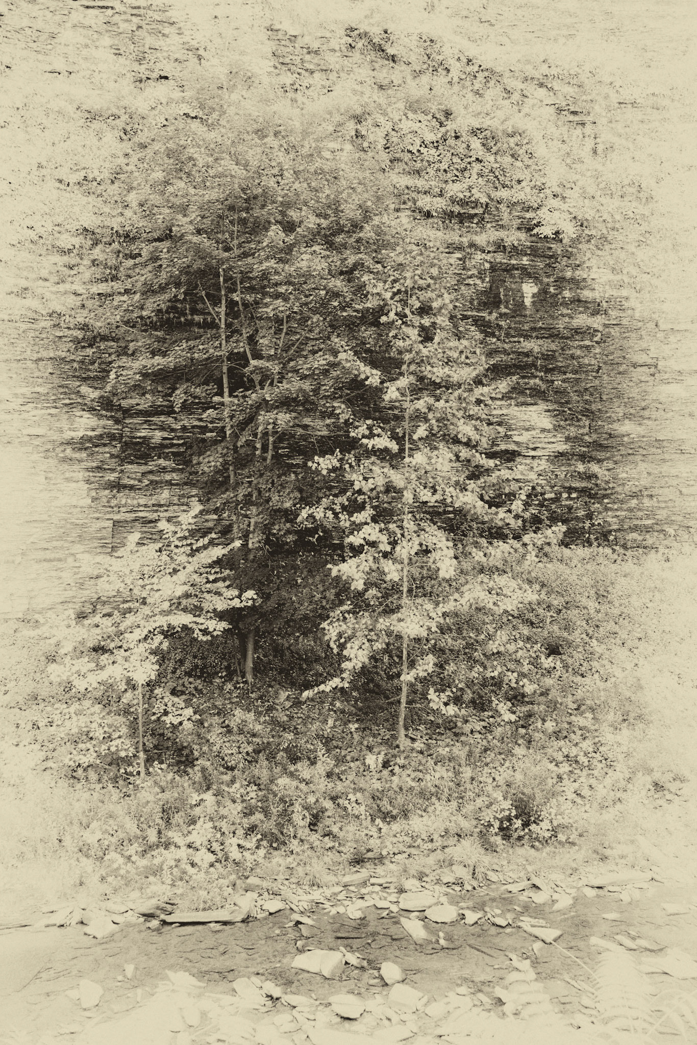 Black &amp; White 00216