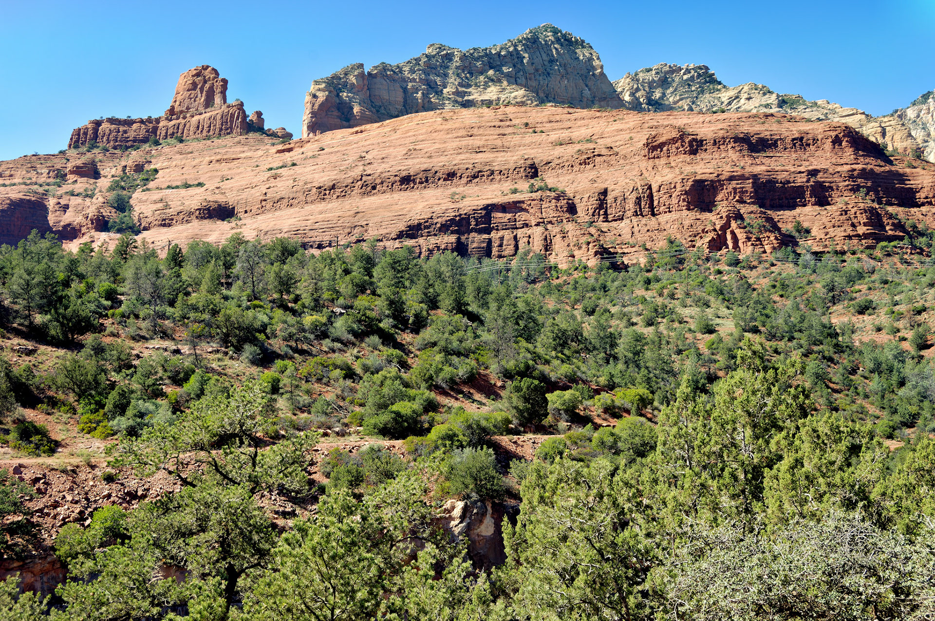 AZ_20060918_0155_PS.dng