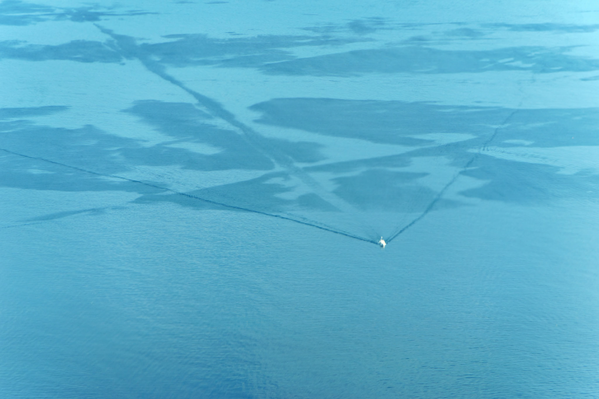 Aerials_20180729_0110_PS.dng