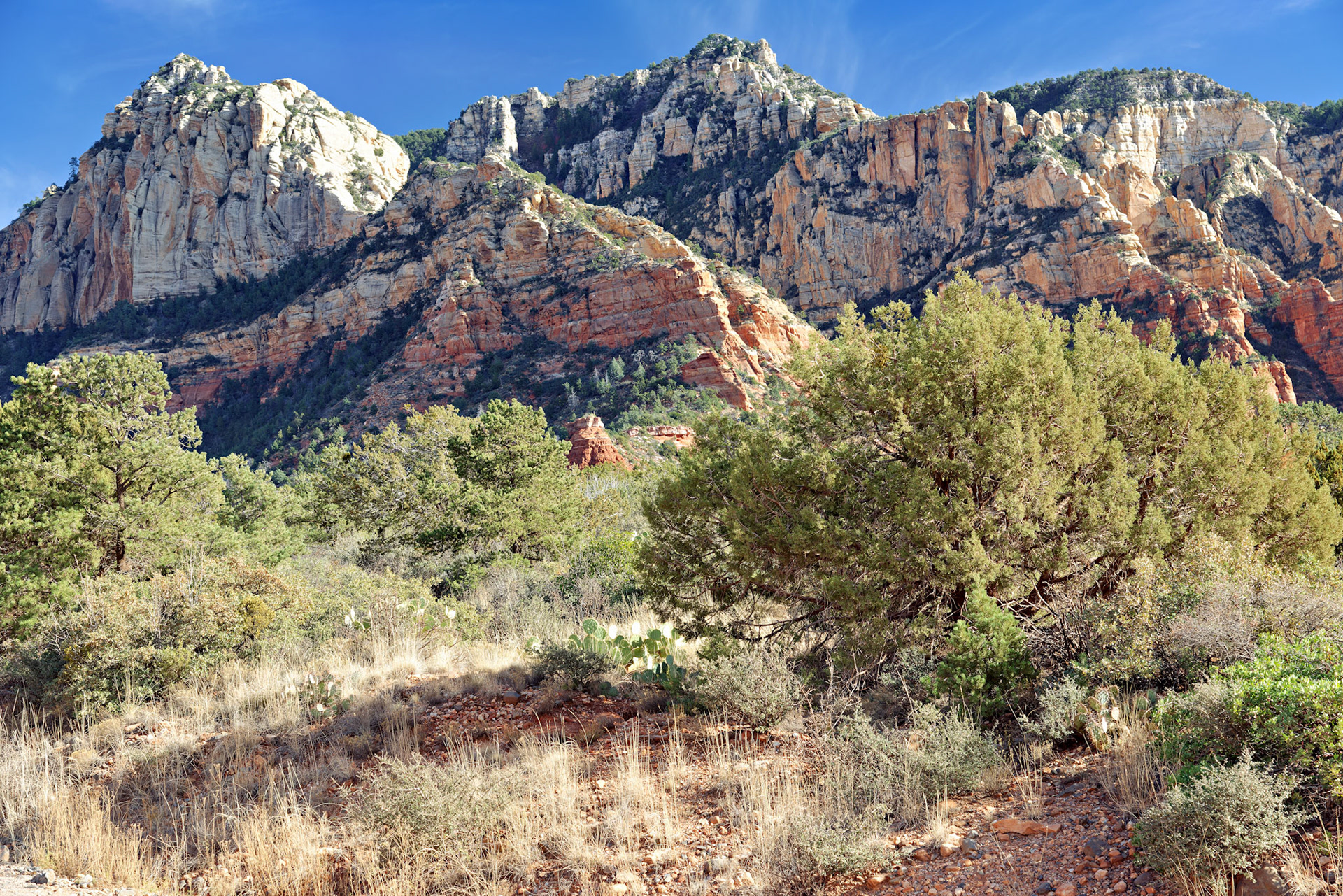 AZ_20121211_0487_PS.dng