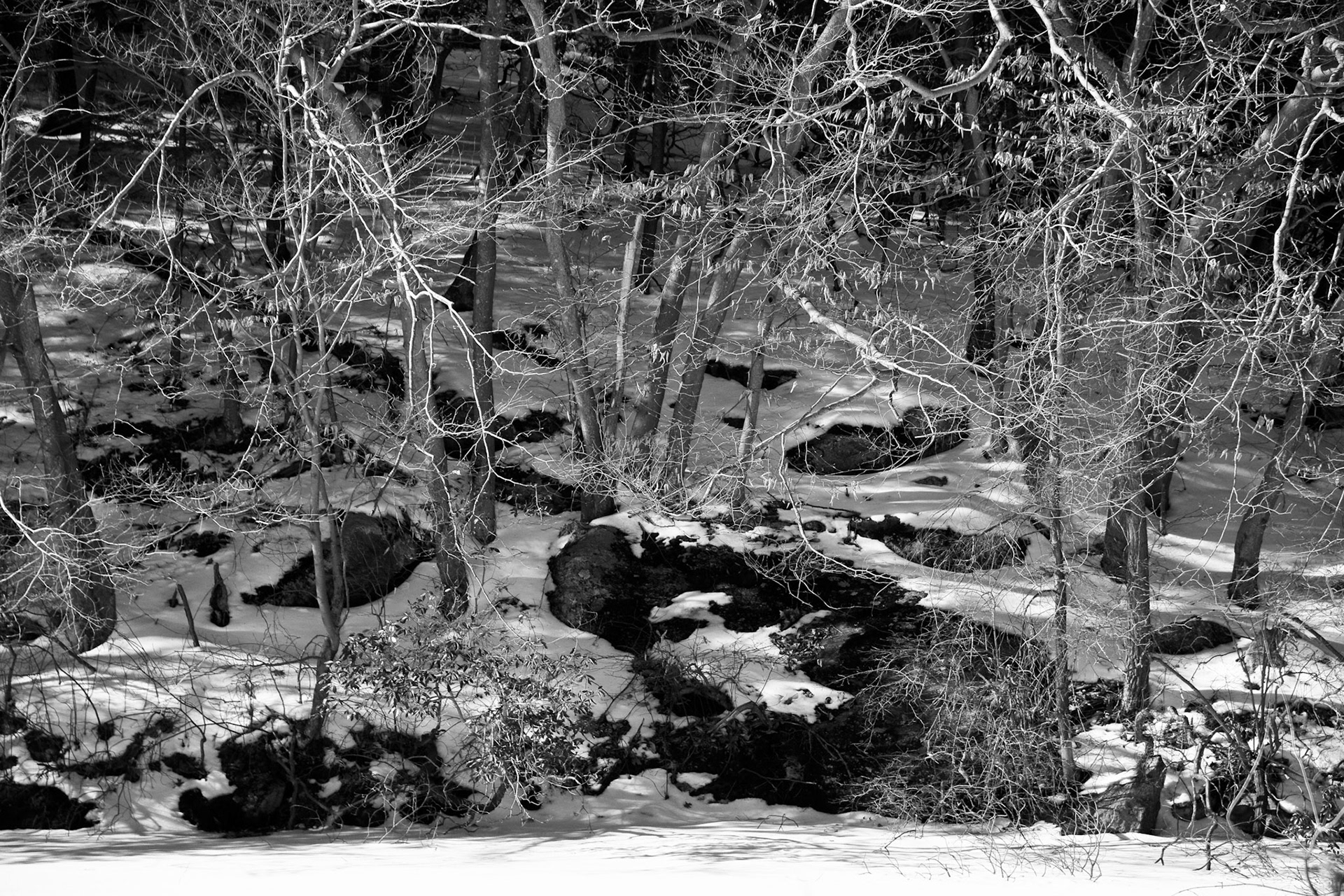 Black &amp; White Photos