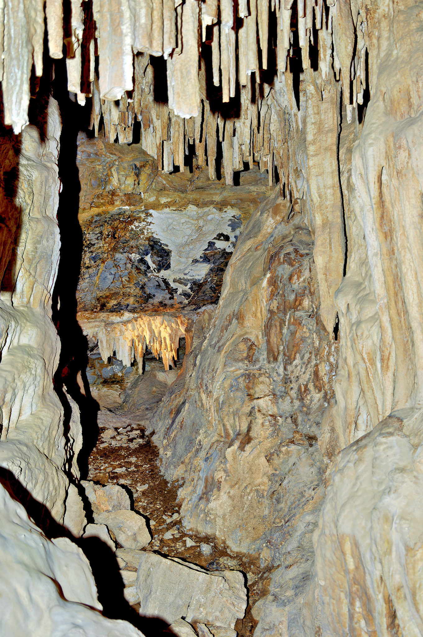 CA_20050614_0111_PS.dng